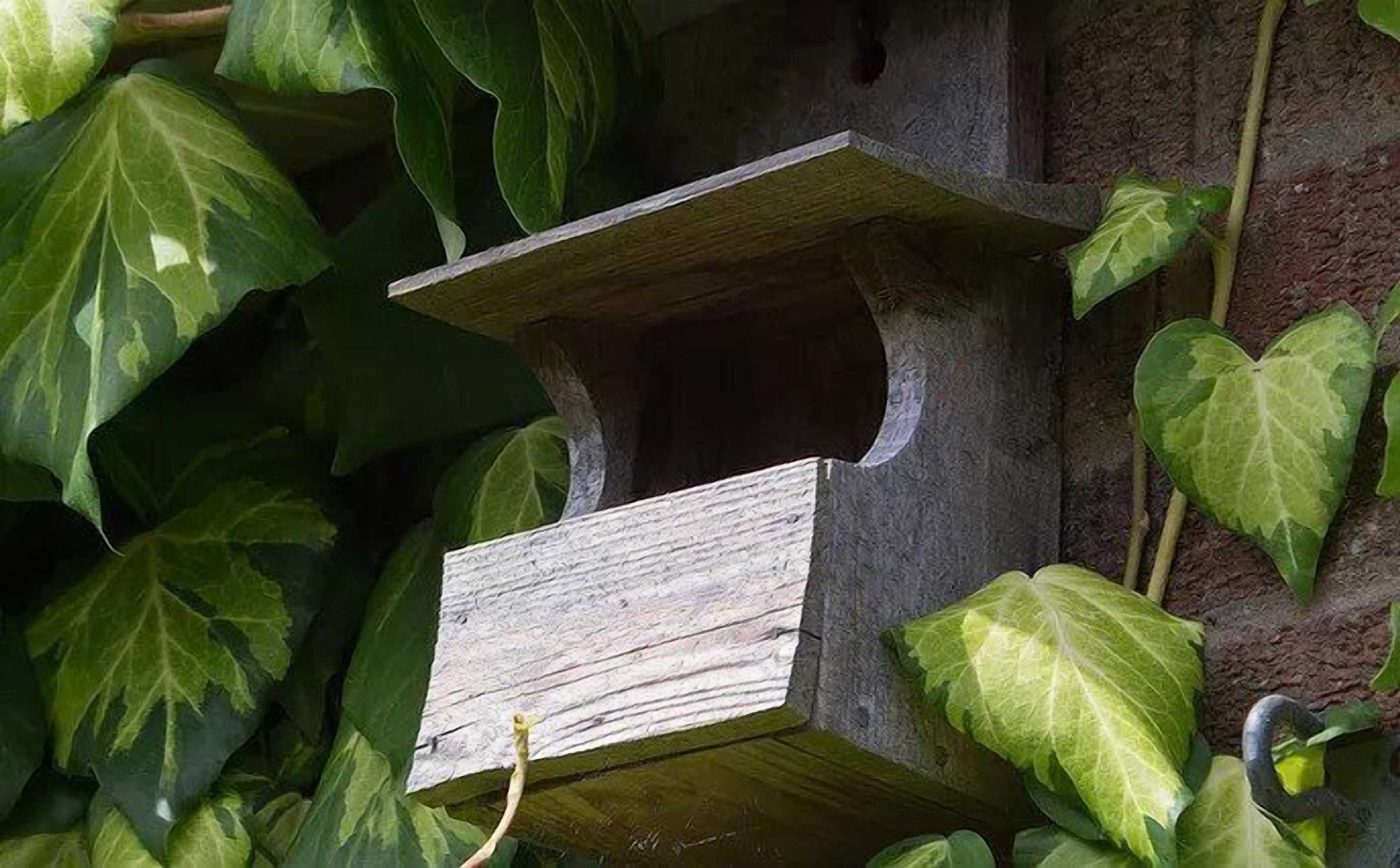 Gift card for The Old Stables