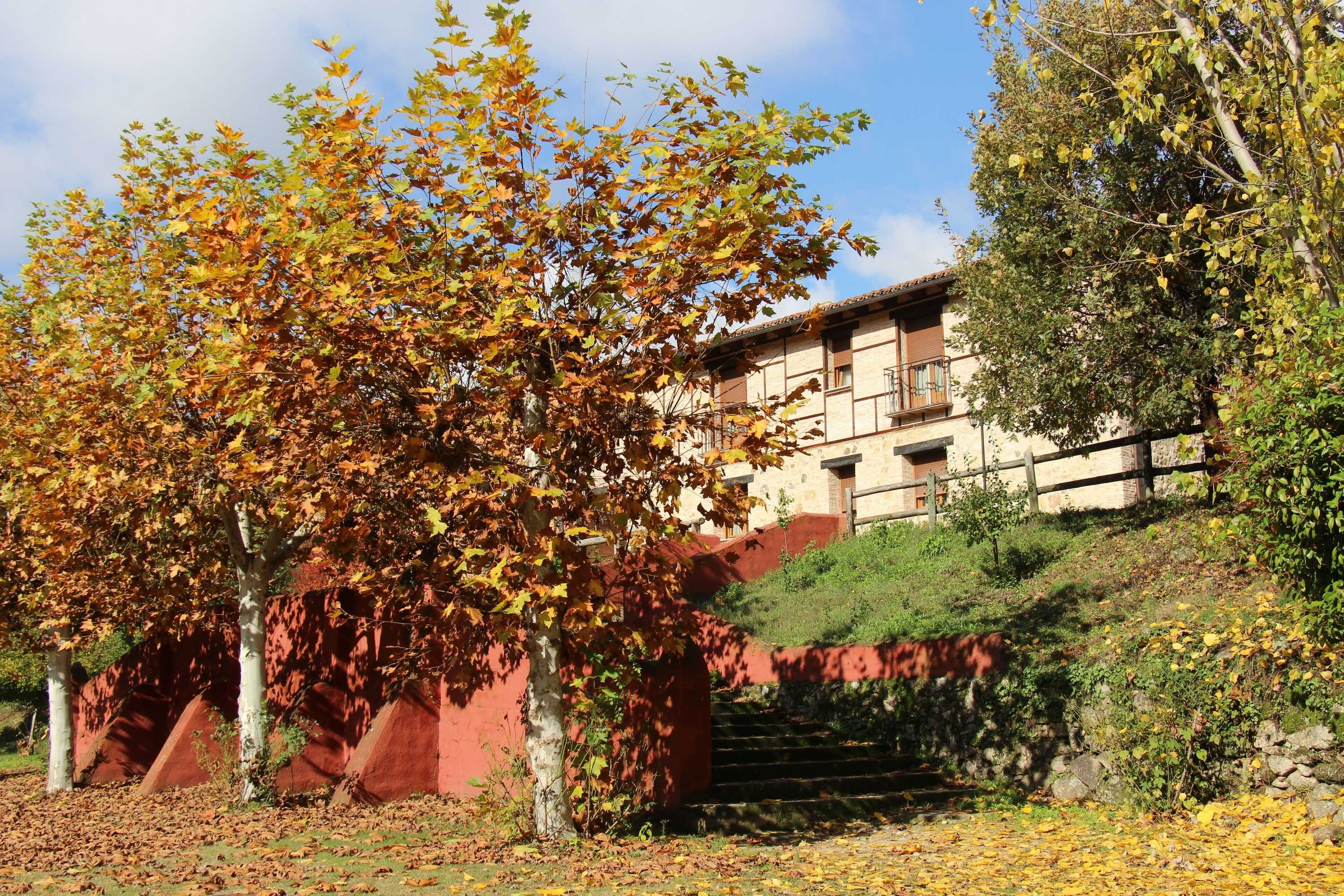 Gift card for Hostel El Lago Caceres Gift card for Hostel El Lago Caceres