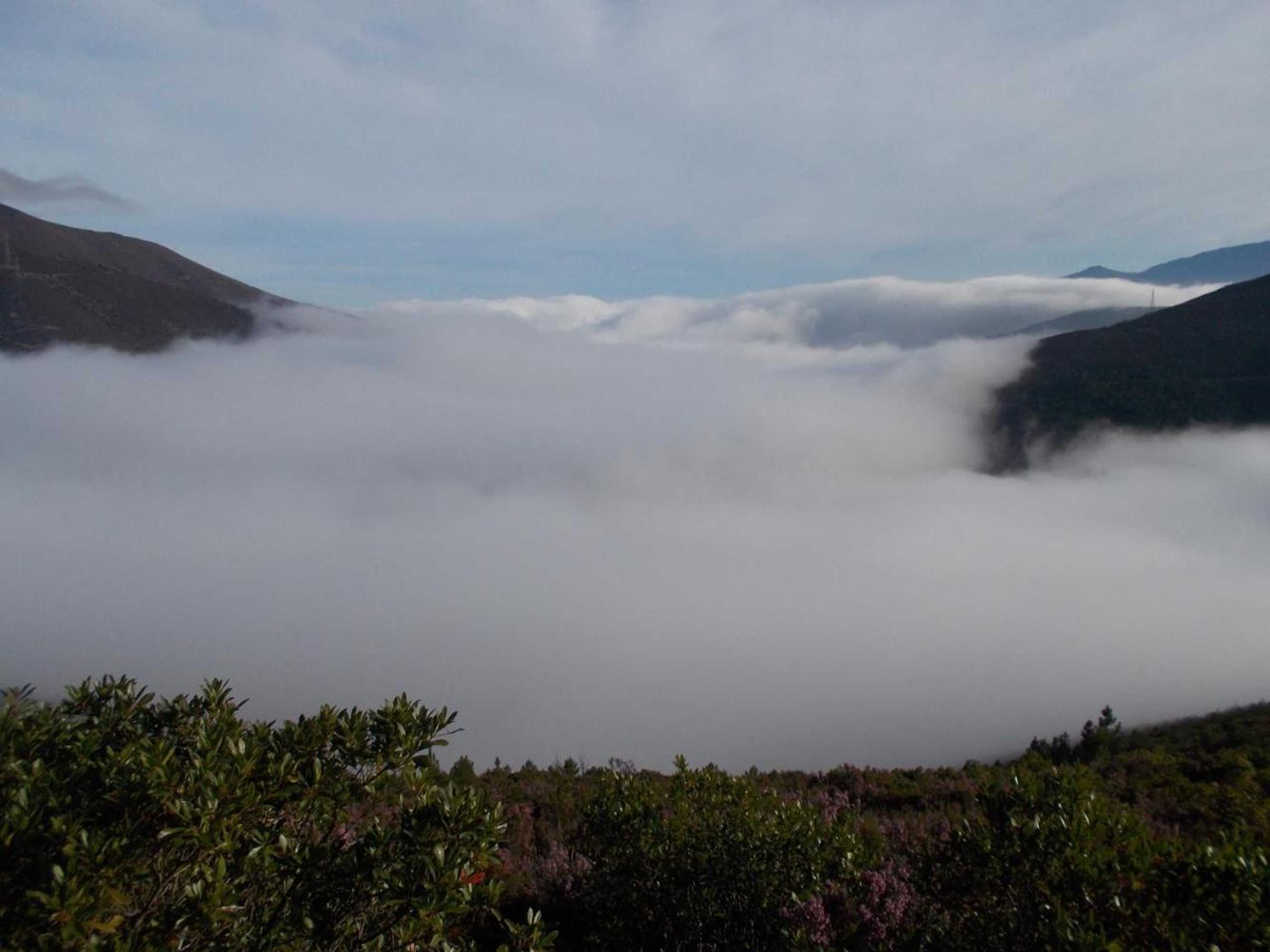 Gift card for Casa da Quelha