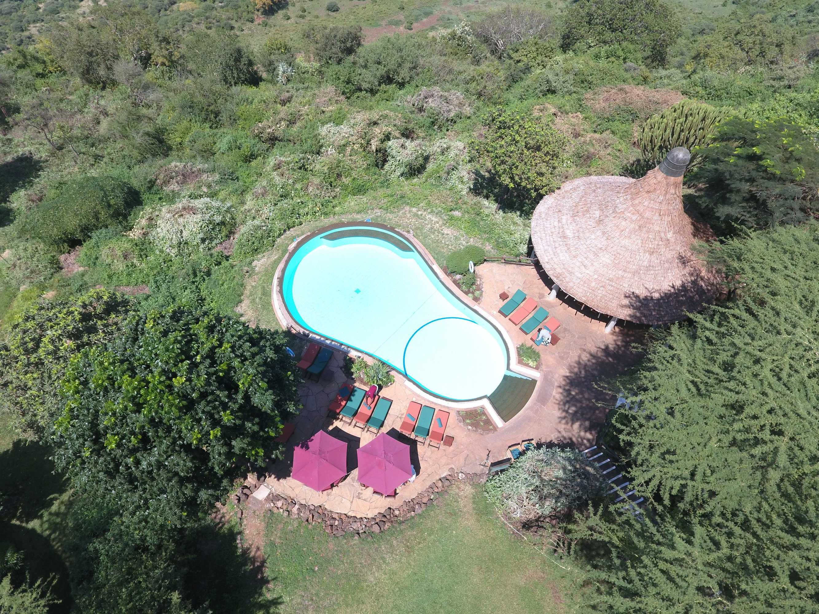 Gift card for Lake Manyara Serena Safari Gift card for Lake Manyara Serena Safari