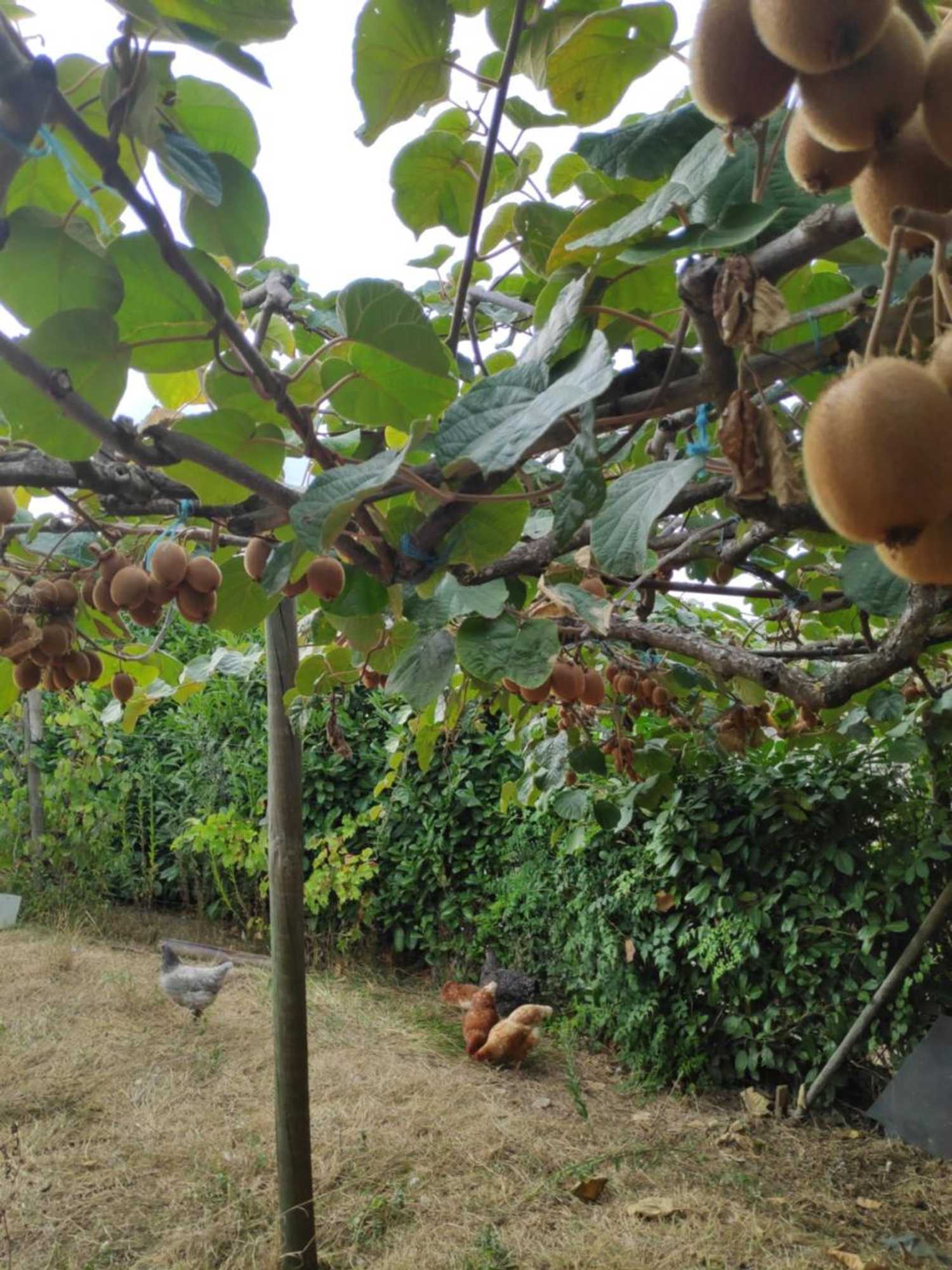 Gift card for Nature Et Al House