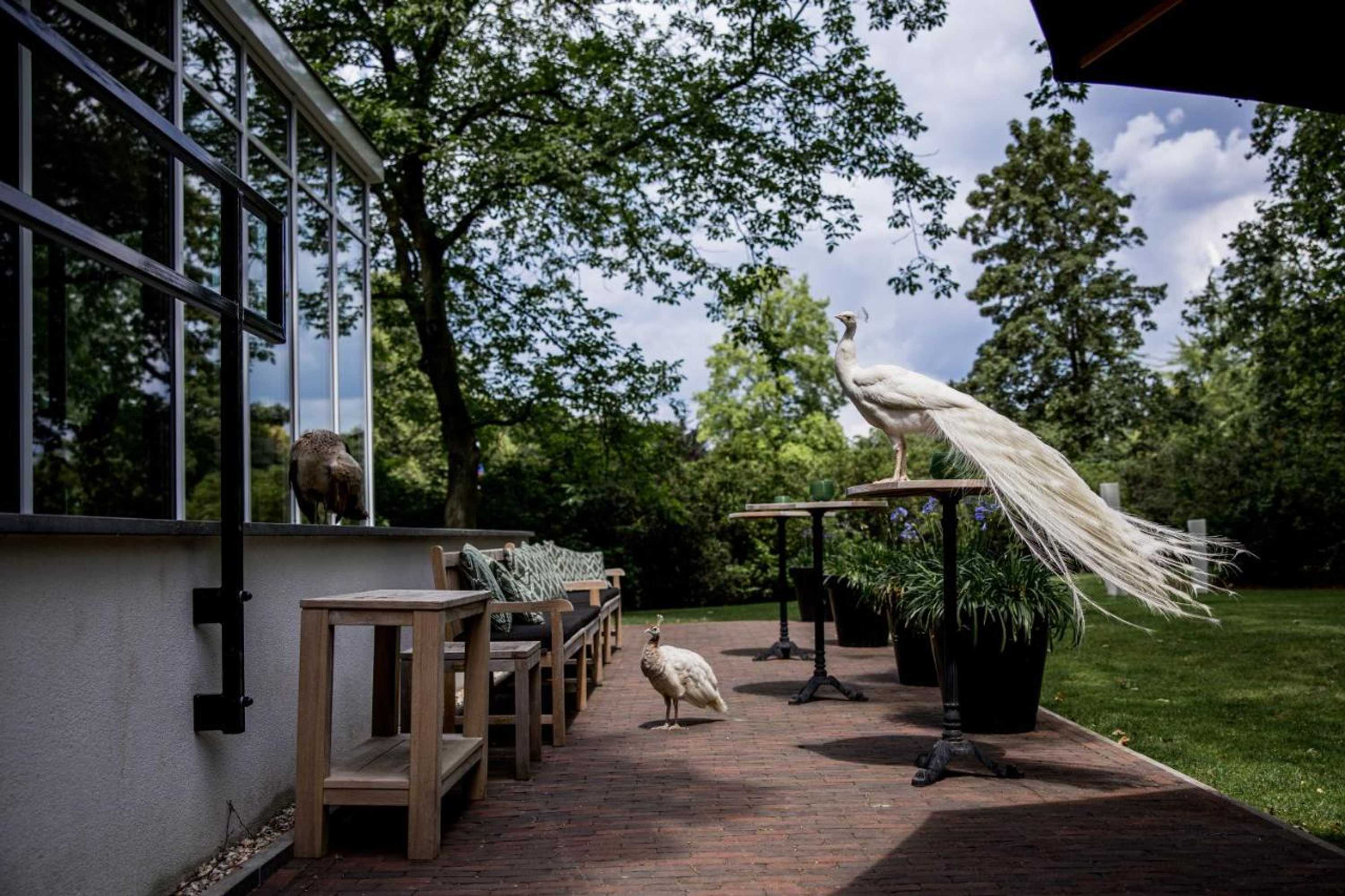 Gift card for Kasteeltje Hattem