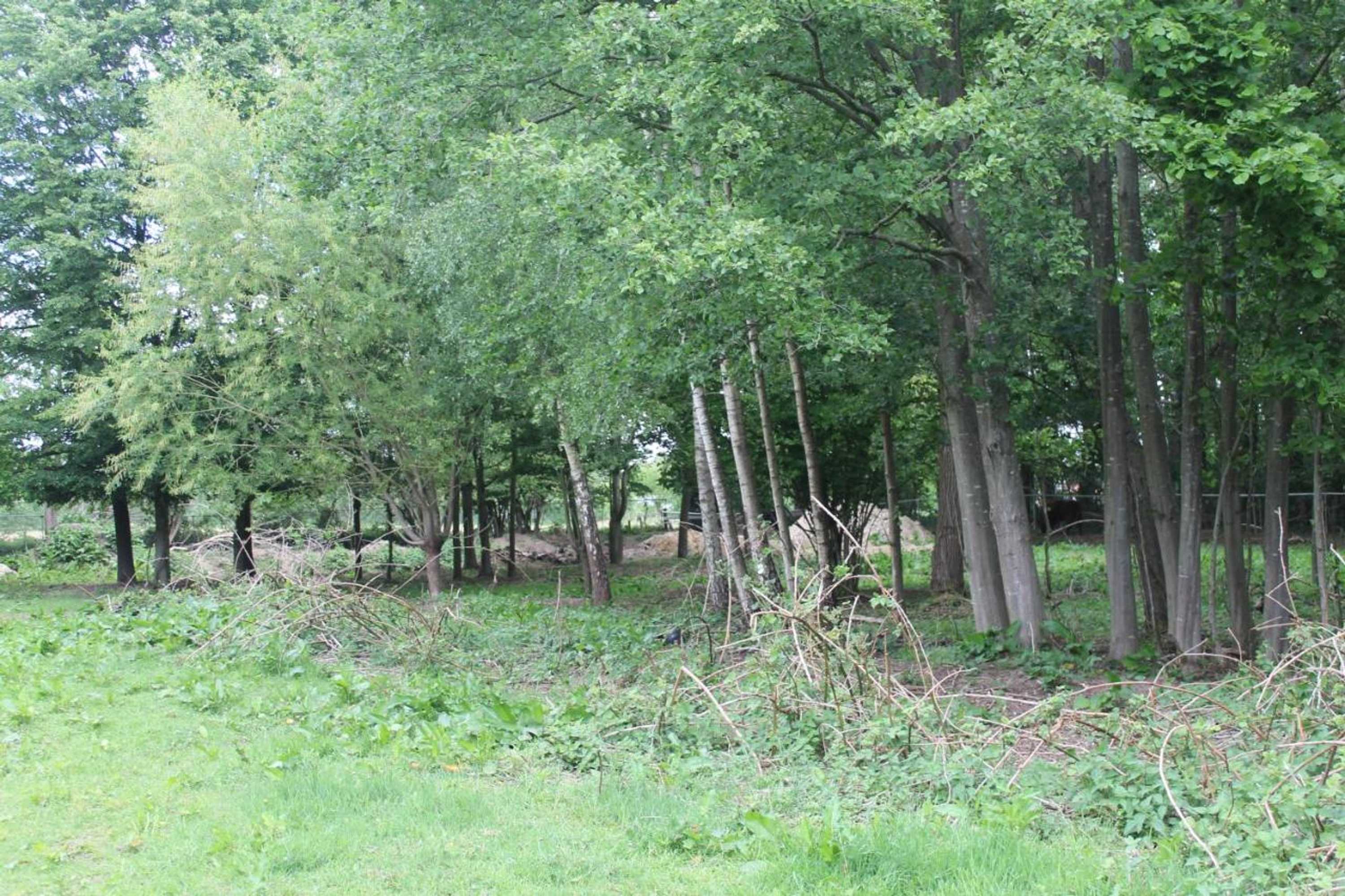 Gift card for Gastenverblijf Peppelmate