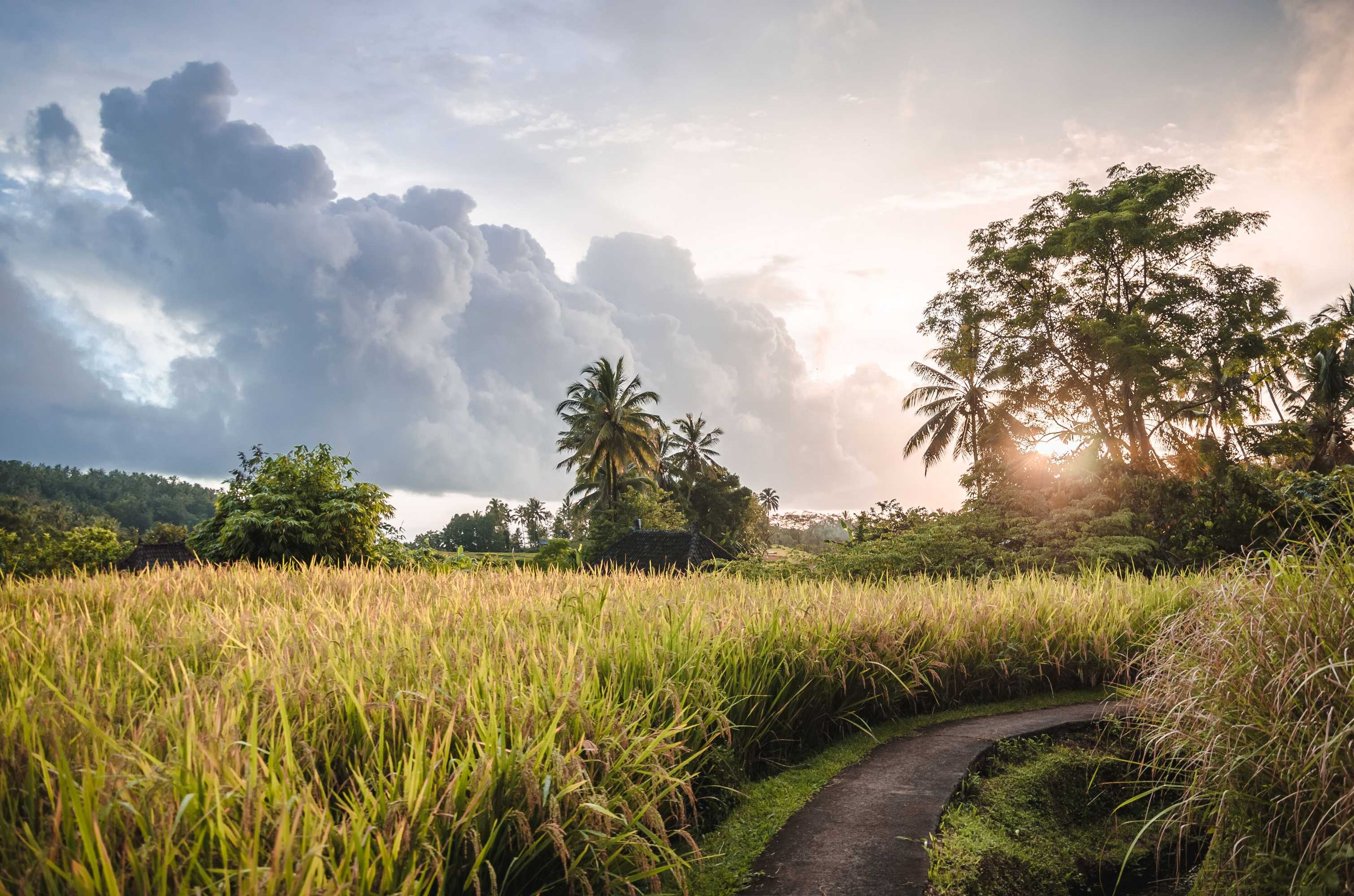 Gift card for Bali Eco Stay