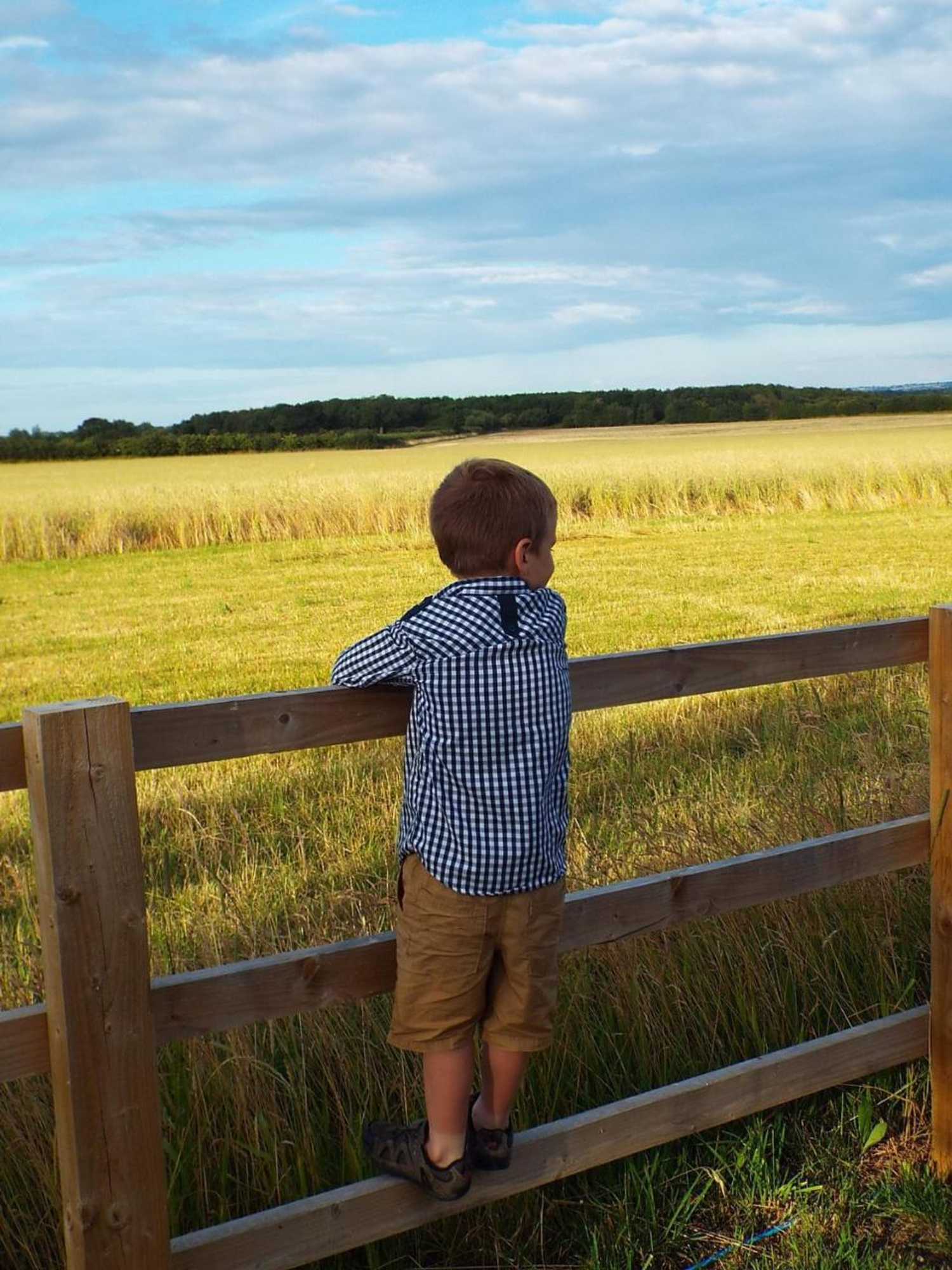 Gift card for The Stableyard