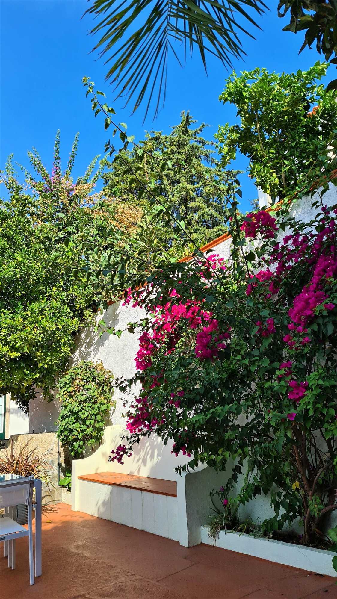 Gift card for Quinta da Palmeira - Country House Retreat & Spa Gift card for Quinta da Palmeira - Country House Retreat & Spa