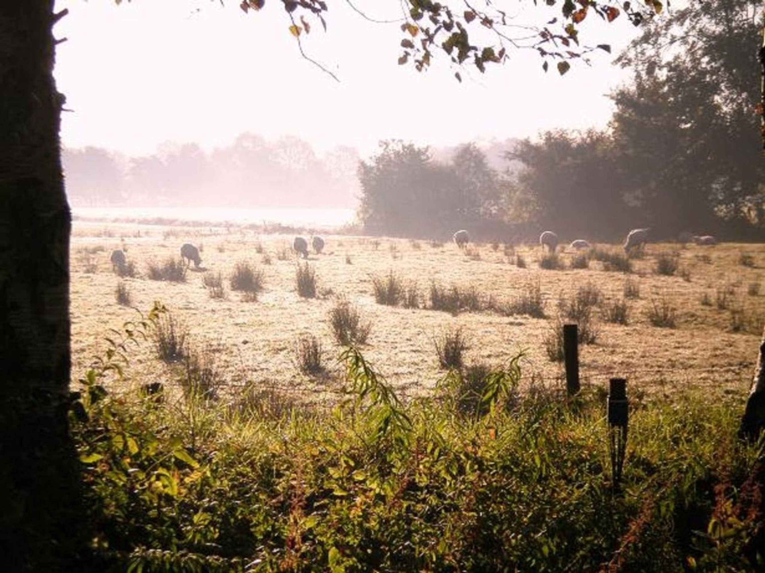 Gift card for De Vuurplaats