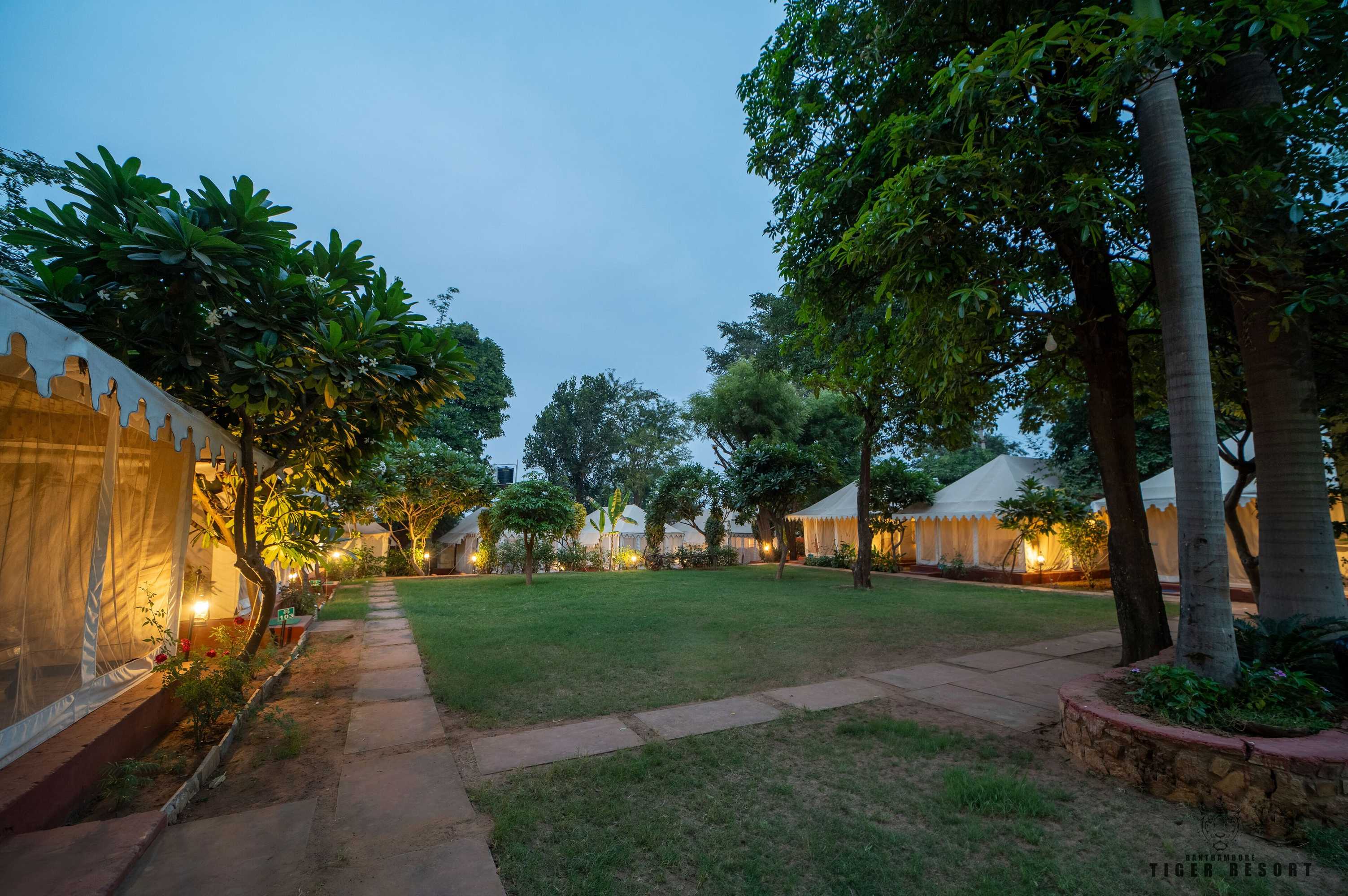 Gift card for Ranthambore Tiger Resort by Park Tree Gift card for Ranthambore Tiger Resort by Park Tree