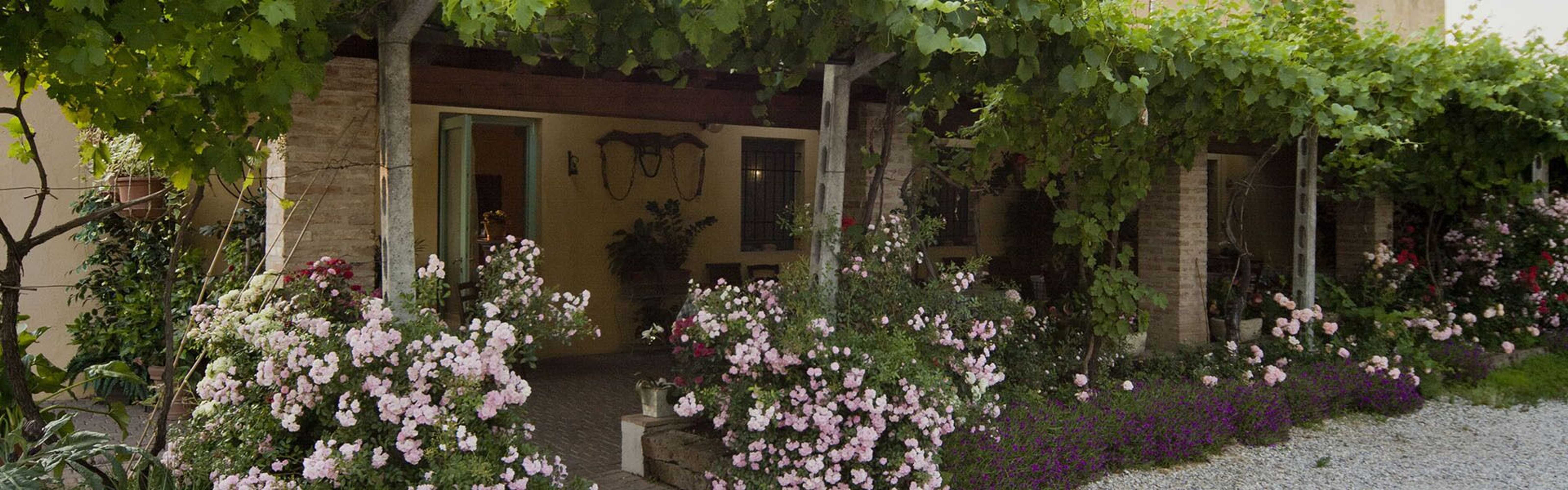 Gift card for Agriturismo Corte Gaia Gift card for Agriturismo Corte Gaia