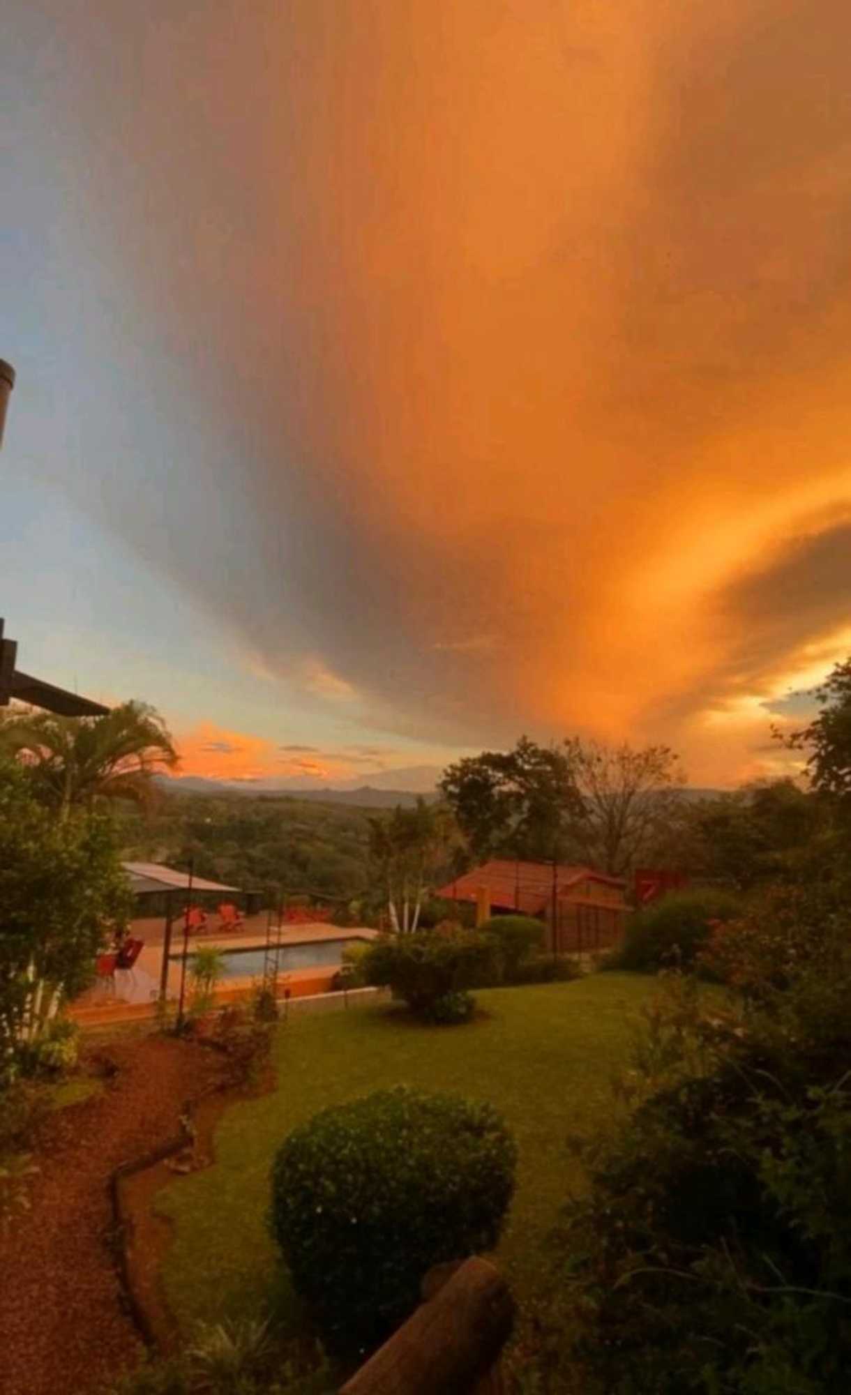 Gift card for The House of Hummingbird