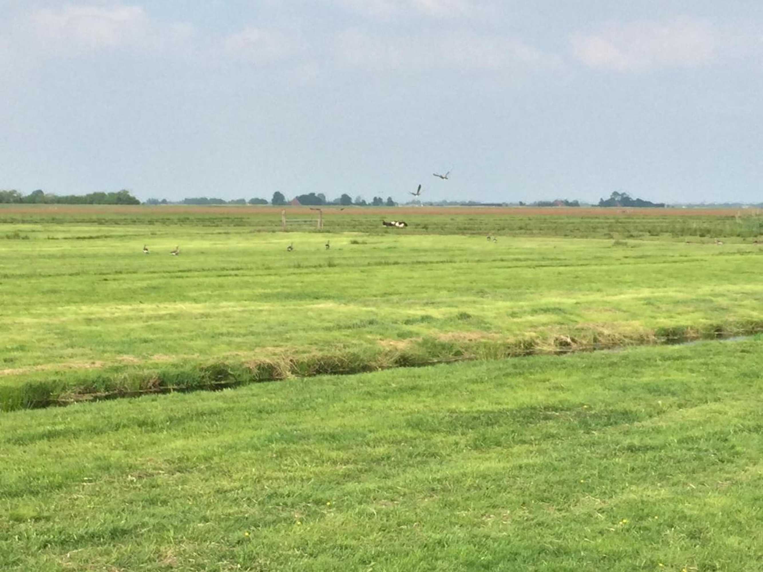 Gift card for B&b De Dream