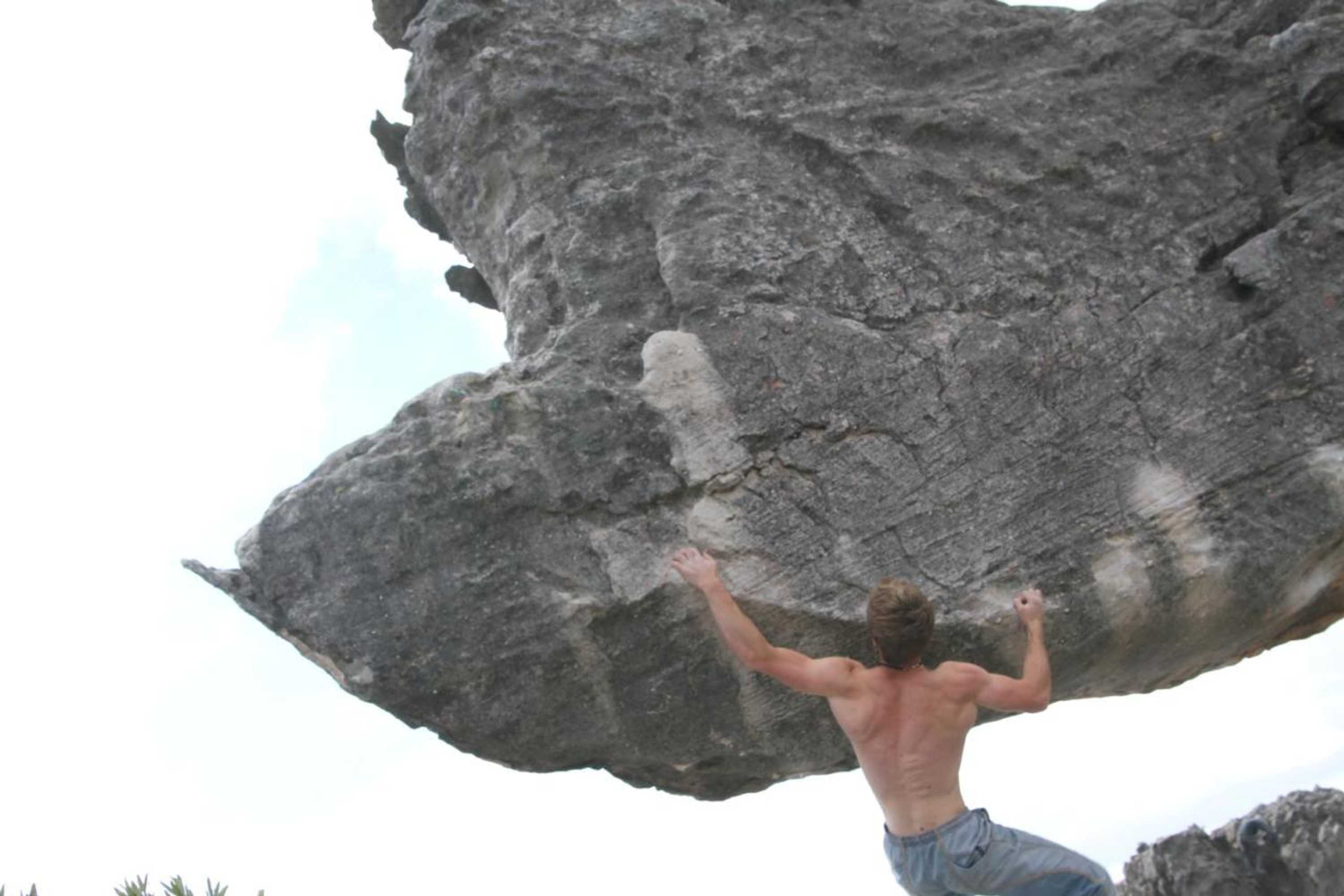 Gift card for Haus Müller