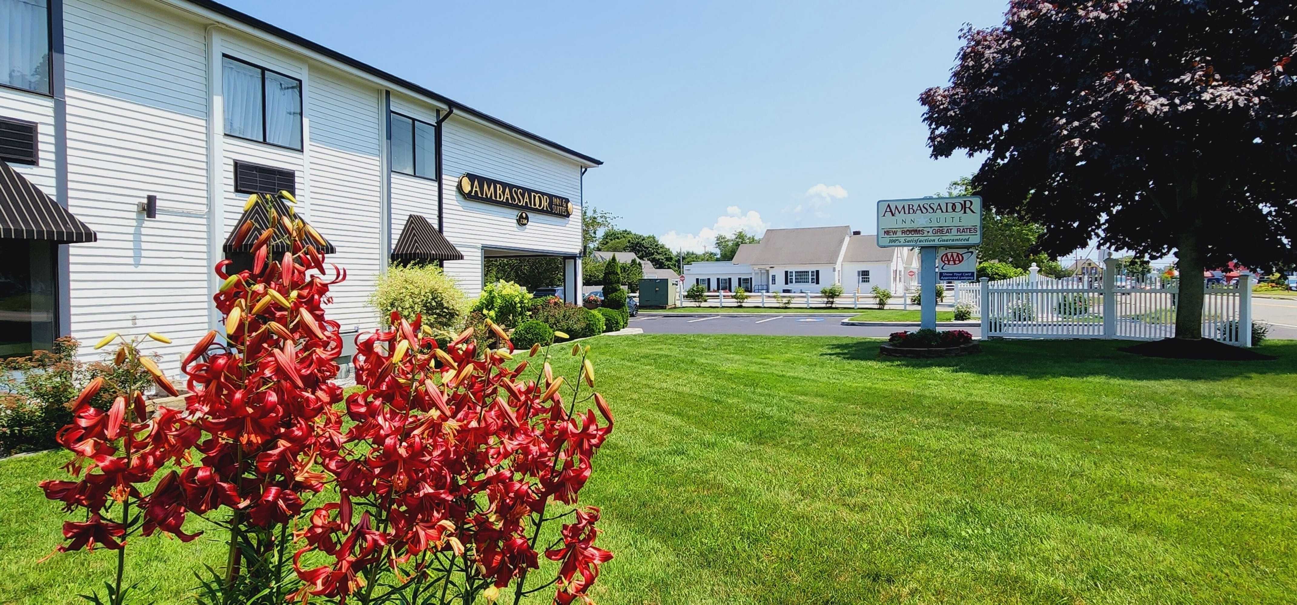 Gift card for Ambassador Inn & Suites Gift card for Ambassador Inn & Suites