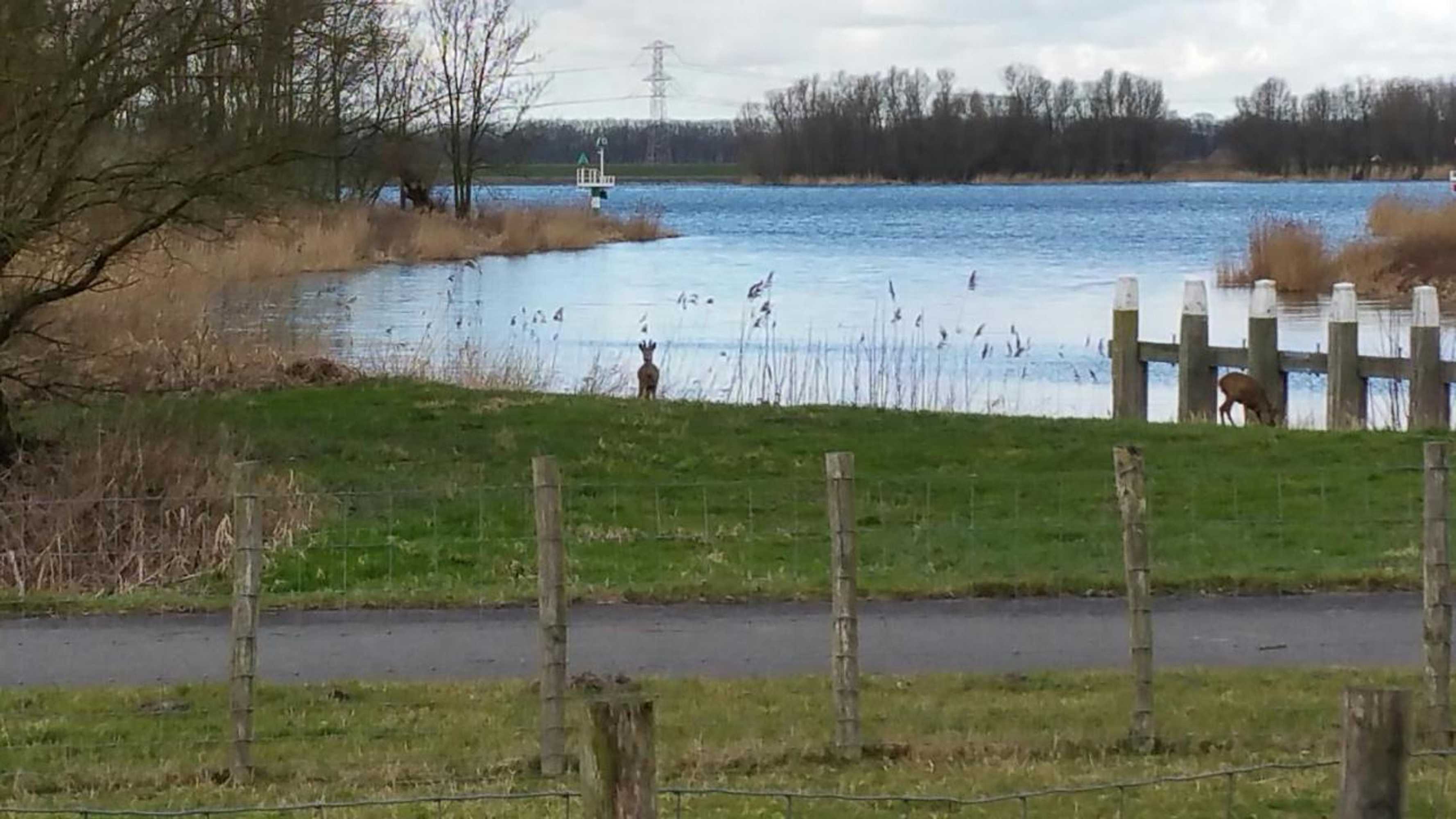 Gift card for De Brabantse Biesbosch