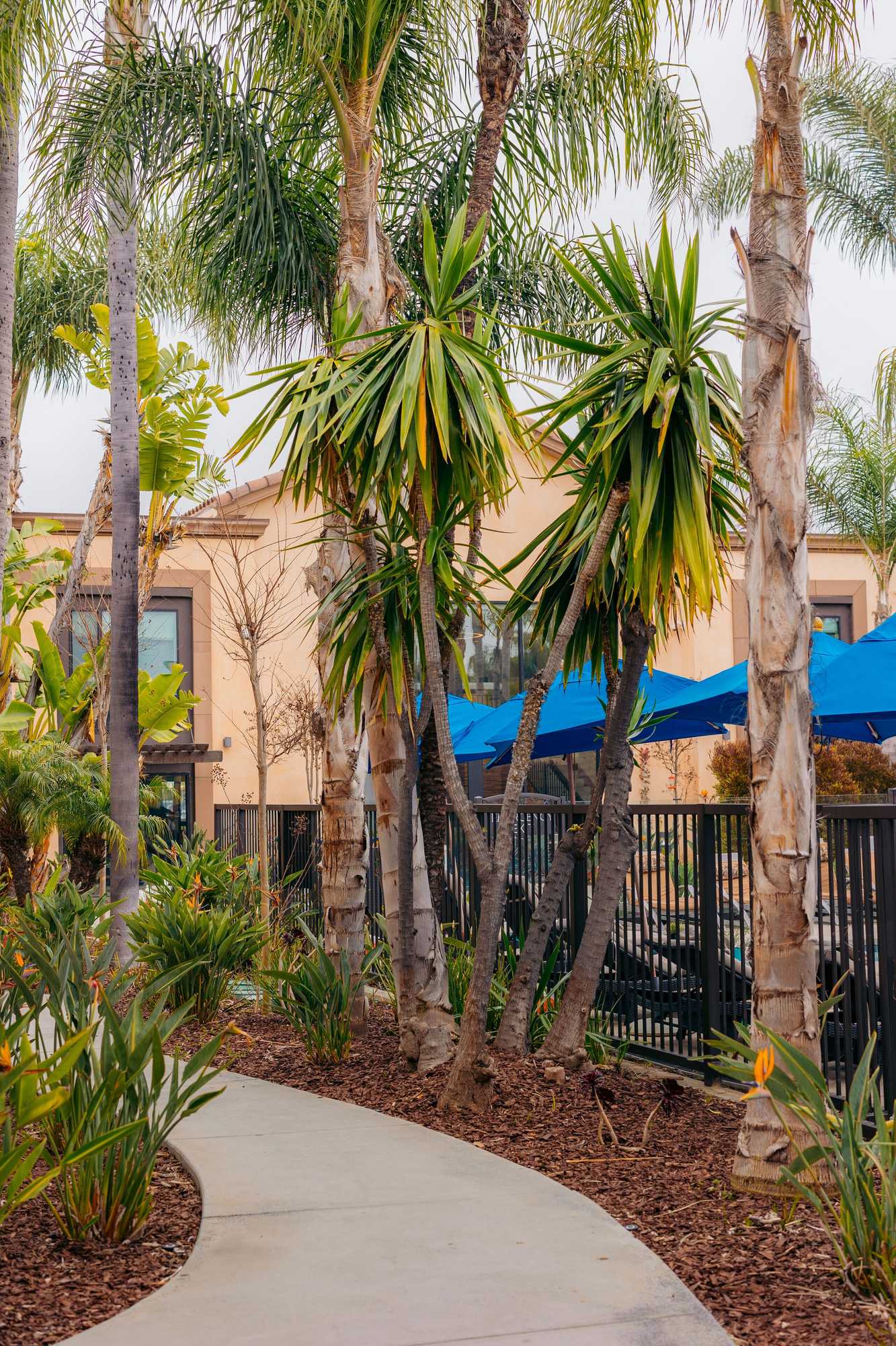 Gift card for The Cove Hotel, Long Beach Gift card for The Cove Hotel, Long Beach