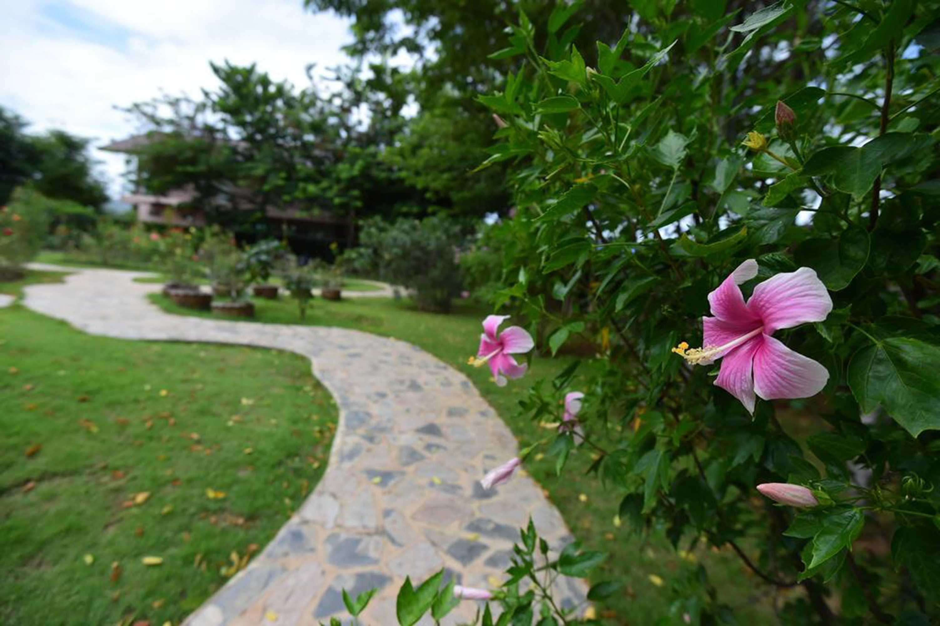 Gift card for Rose Villa Resort Gift card for Rose Villa Resort