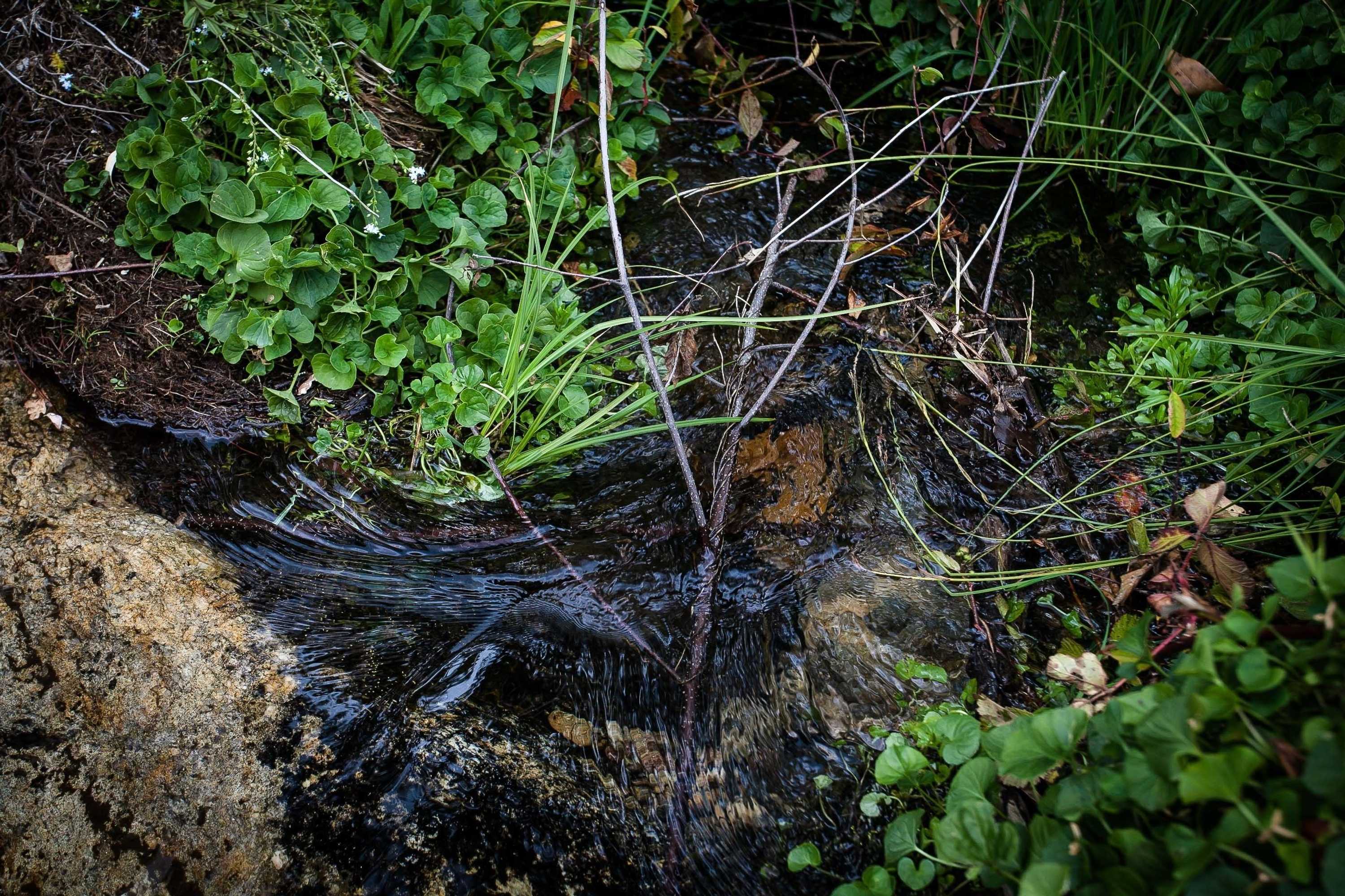 Gift card for Quinta de Mos