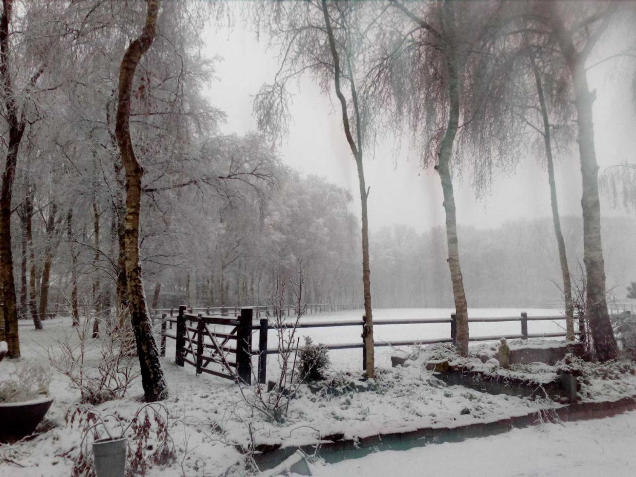 Gift card for Villa Berk en Heide