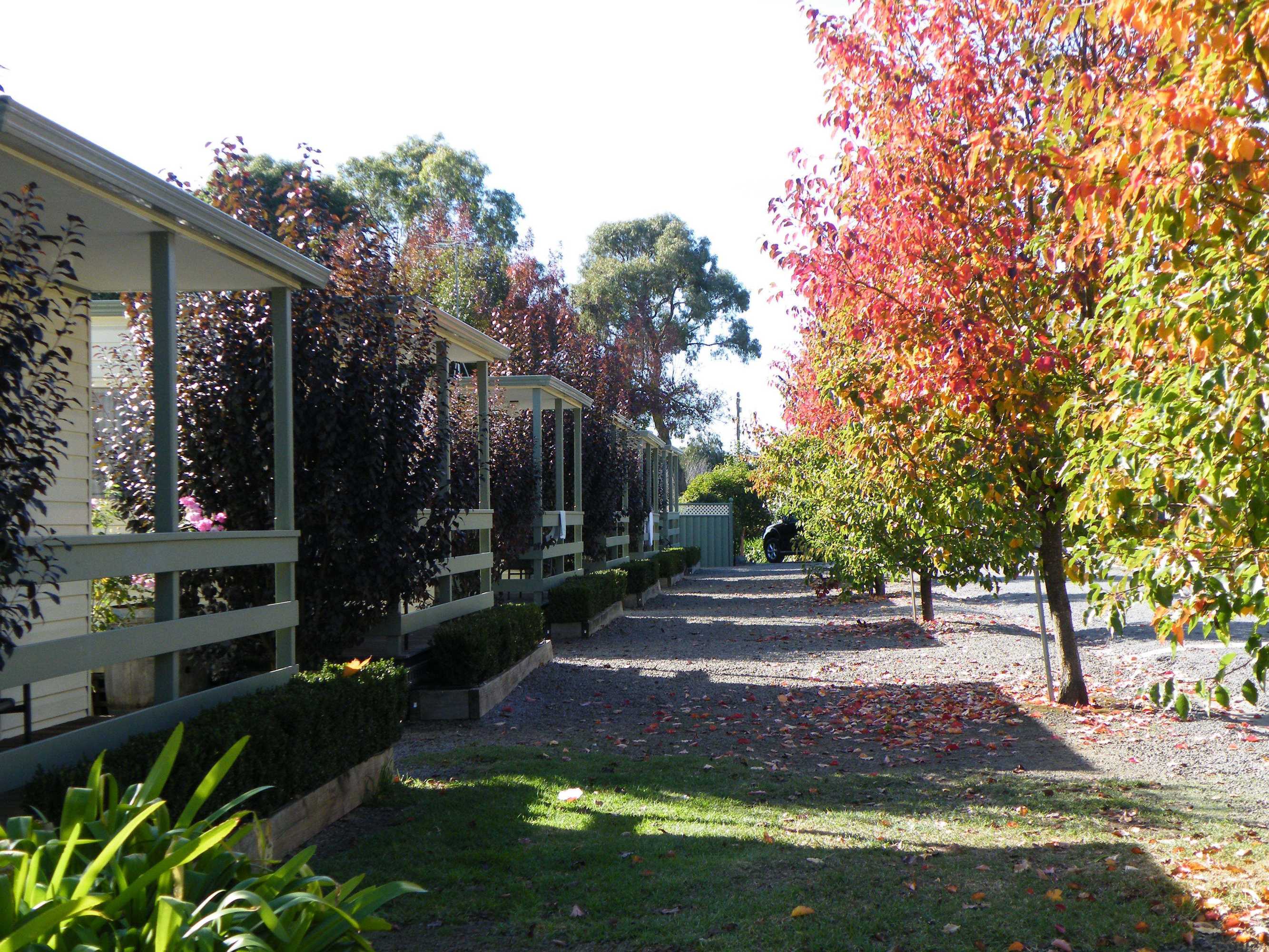 Gift card for Lake Hamilton Motor Village & Caravan Park Gift card for Lake Hamilton Motor Village & Caravan Park