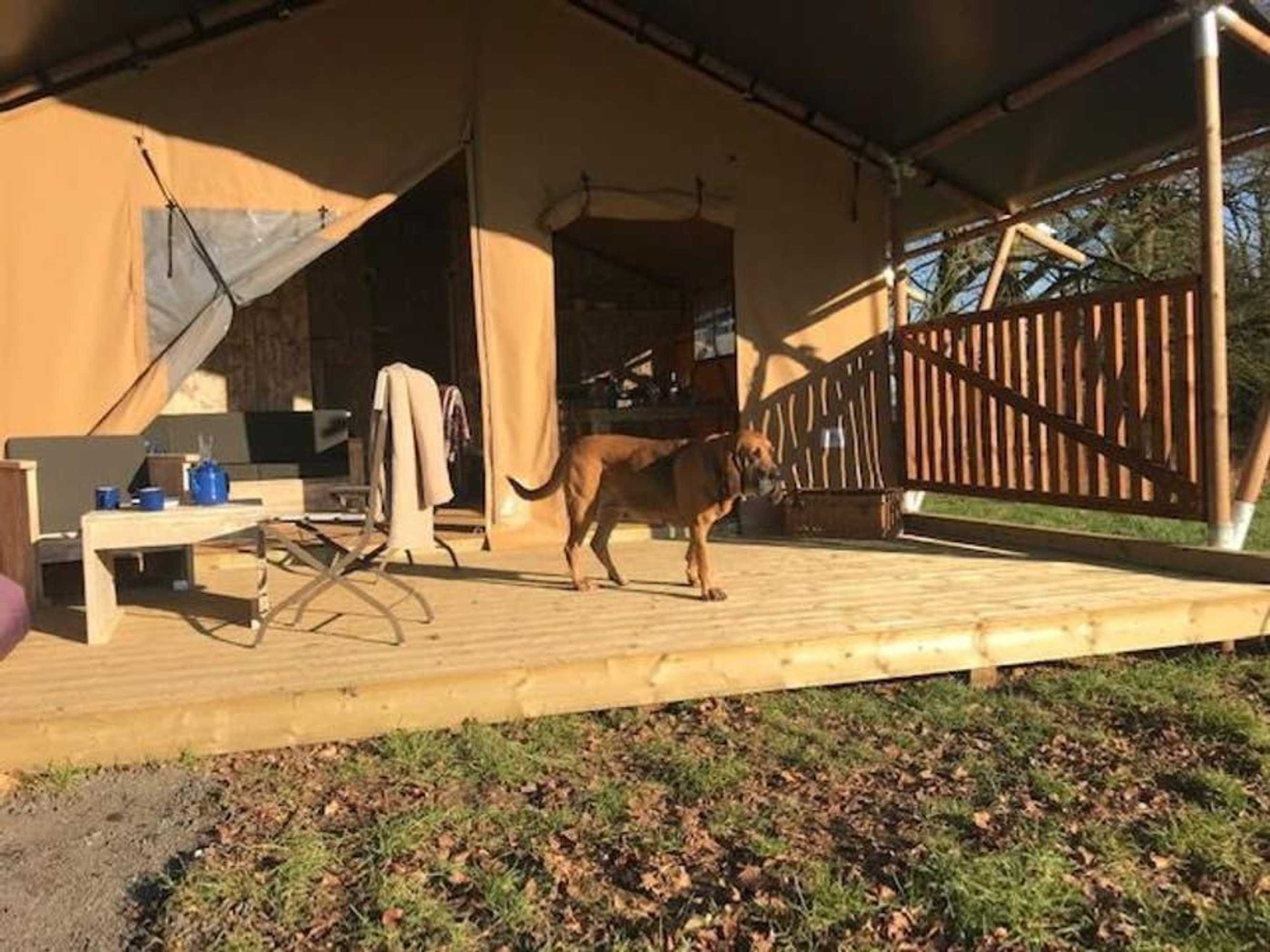 Gift card for Lapwing Safari Tent