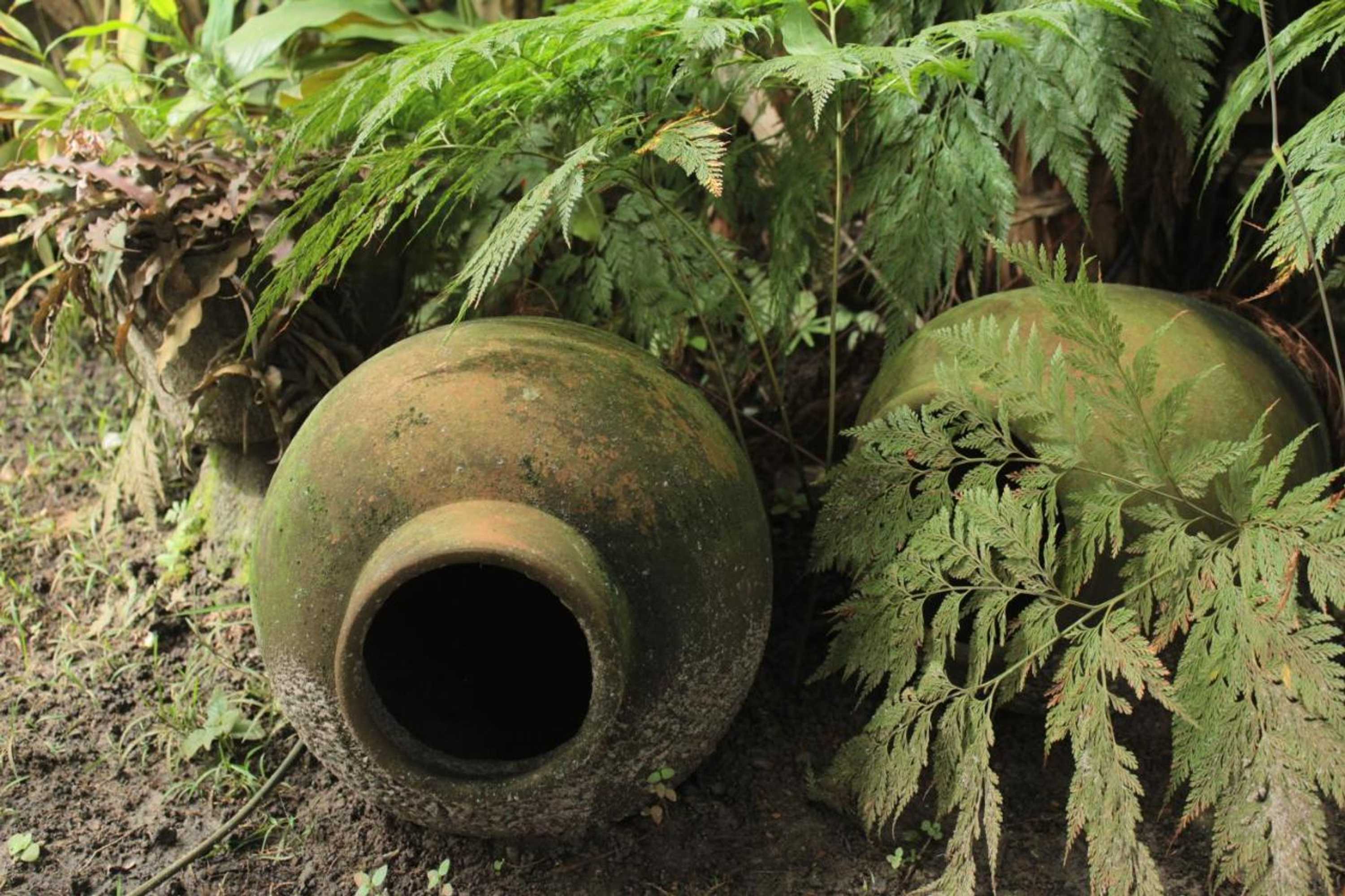 Gift card for Pousada Atlântica