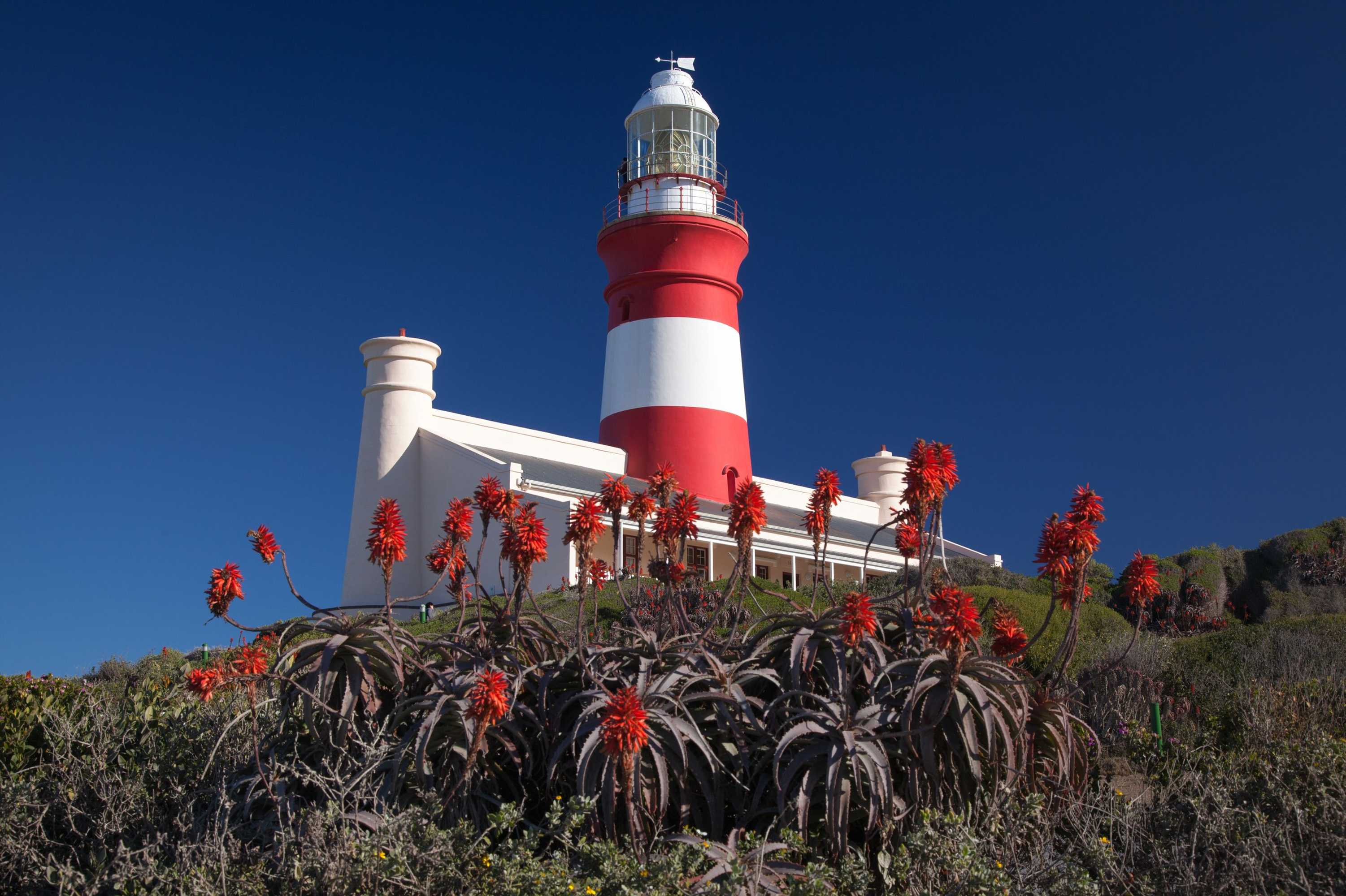 Gift card for Grootbos Private Nature Reserve Gift card for Grootbos Private Nature Reserve