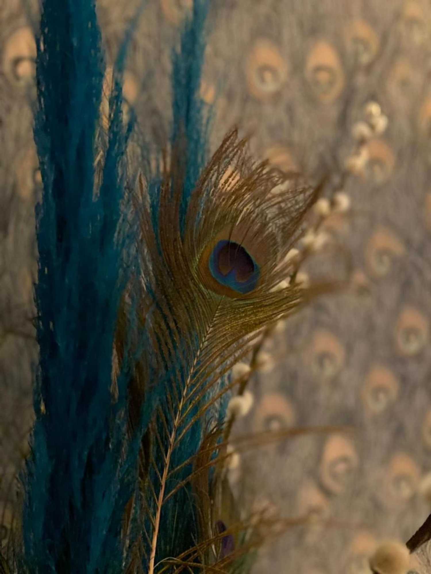 Gift card for B&b Paauwze