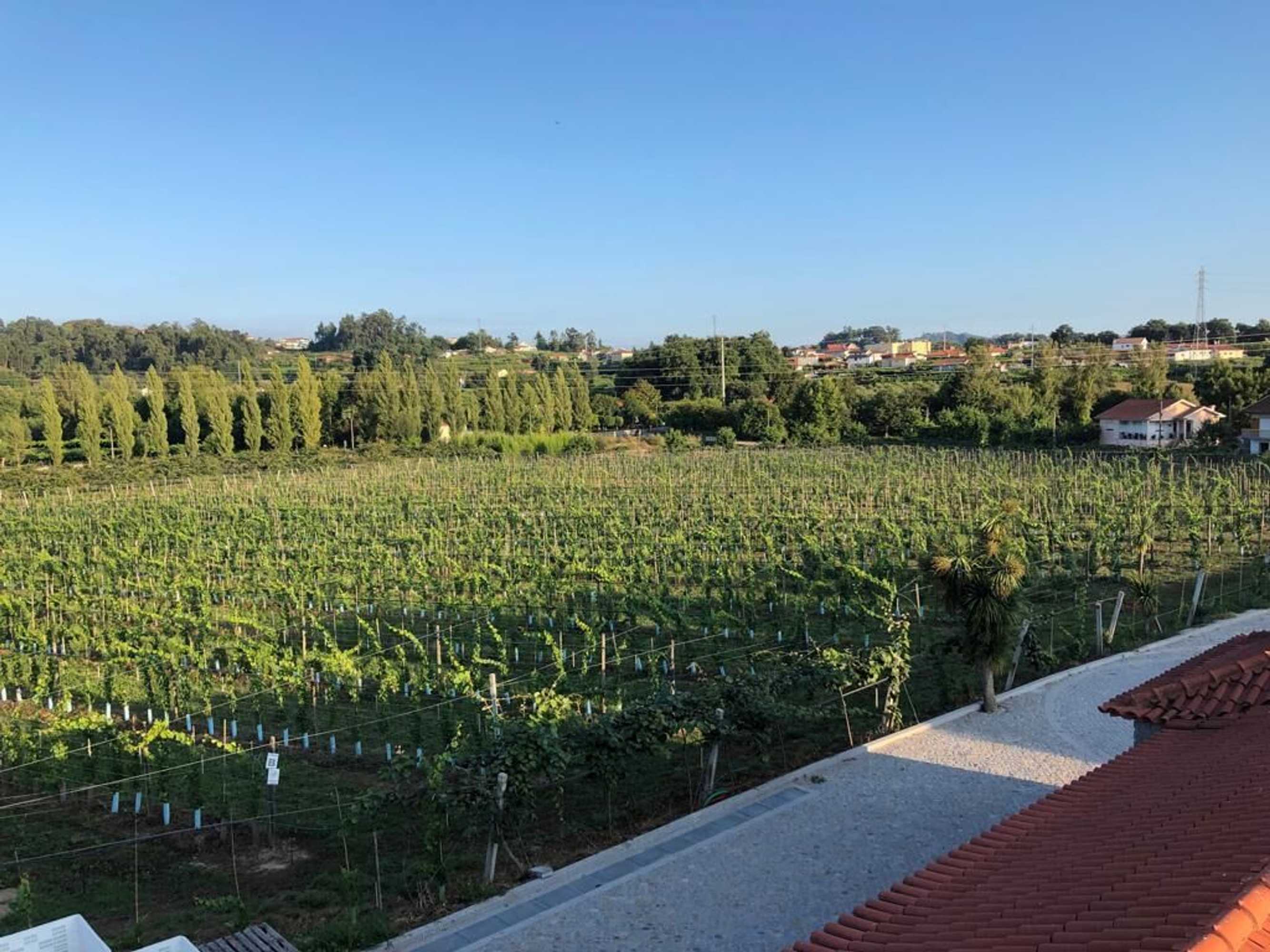 Gift card for Quinta de Maderne