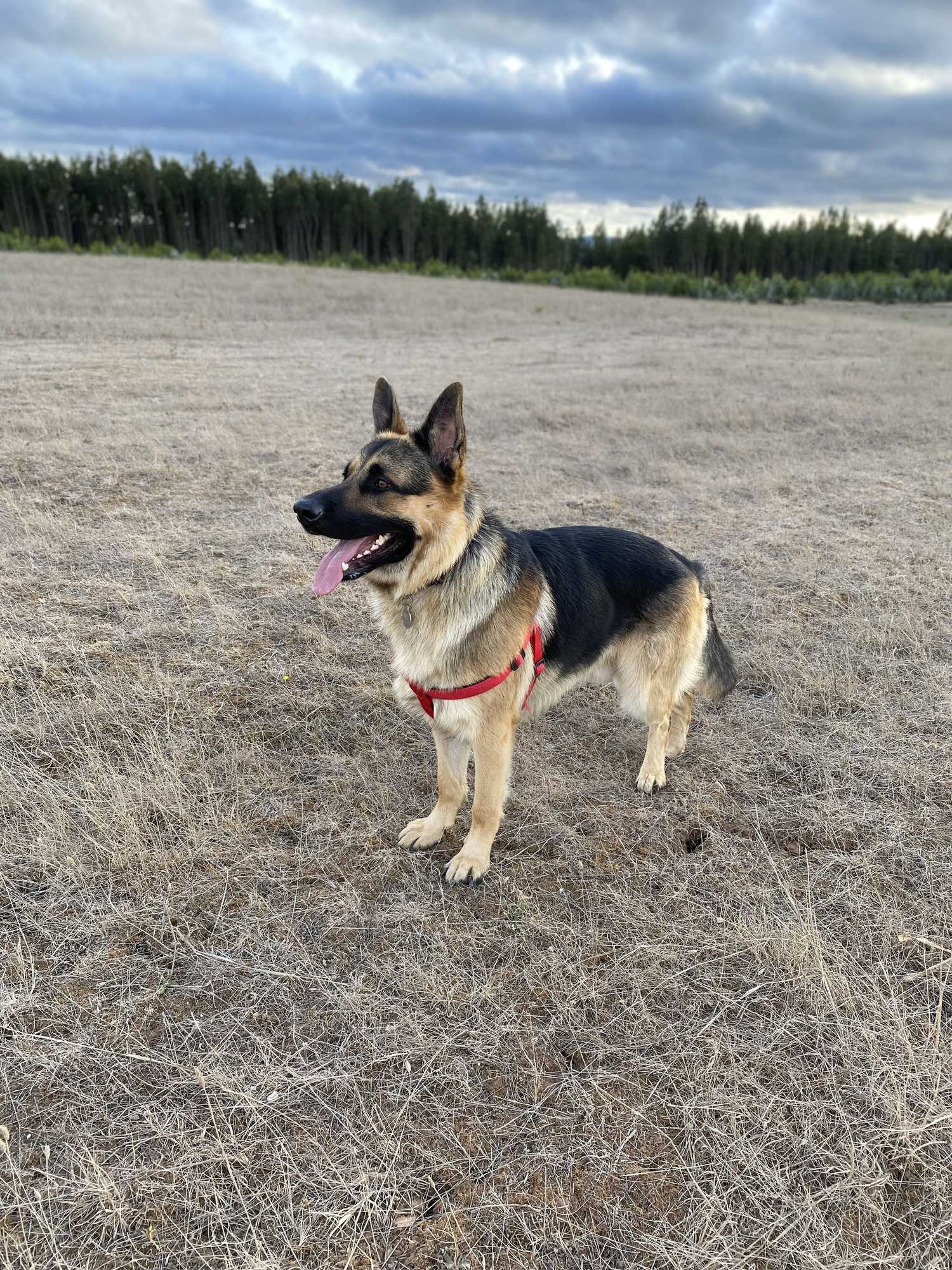 Gift card for Casa Lagoa