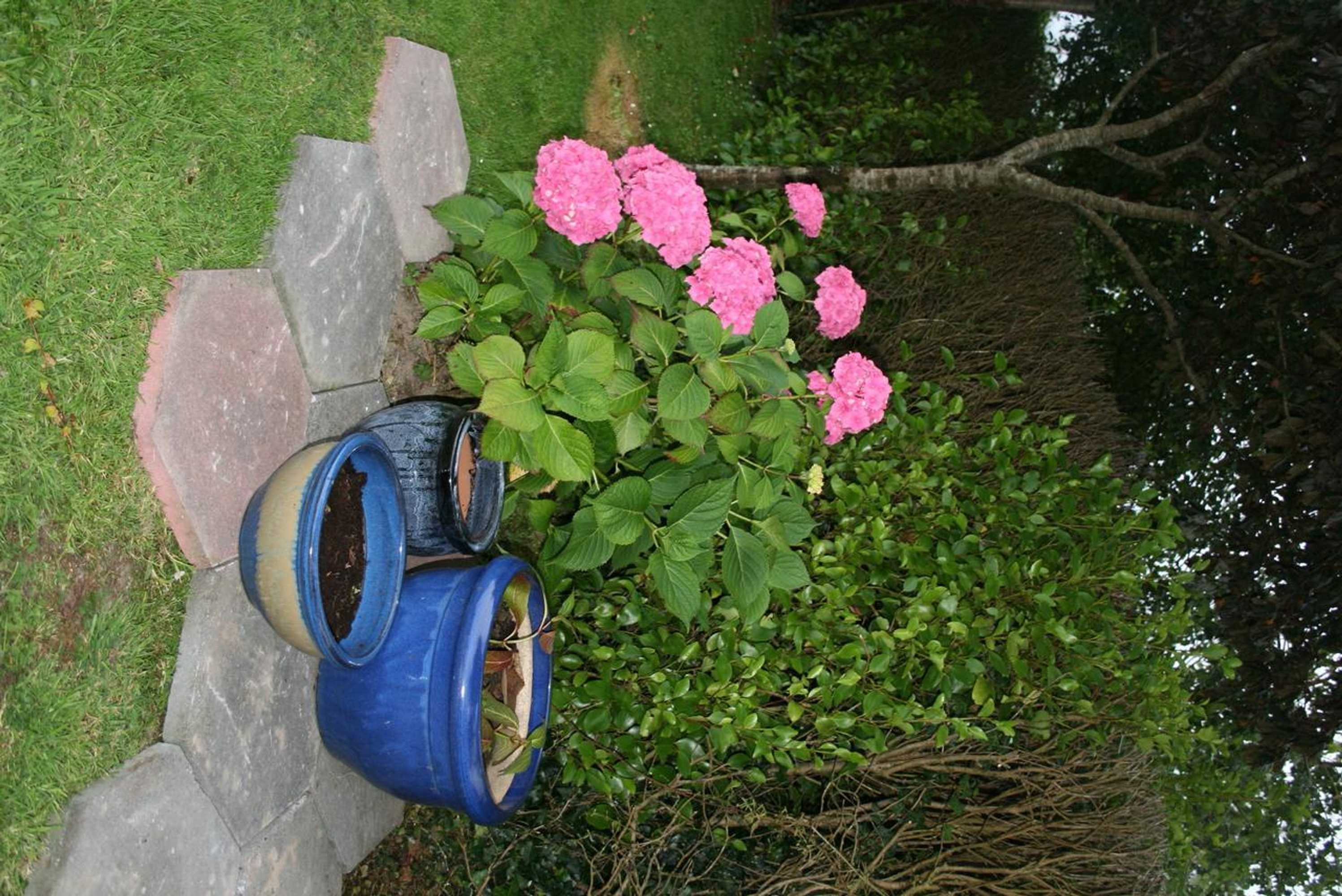 Gift card for Dunaree Bunratty