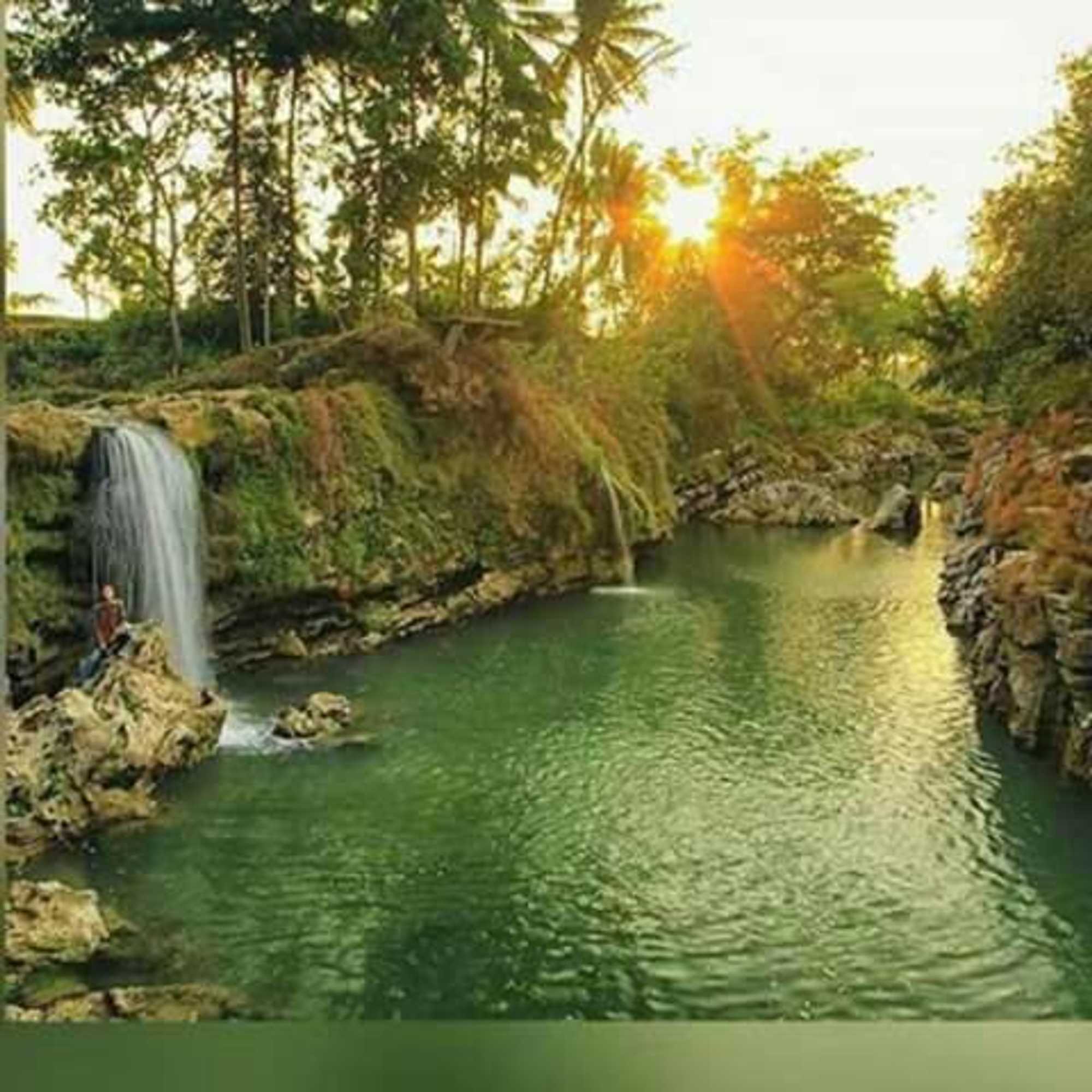 Gift card for The New Orlinds Guest House