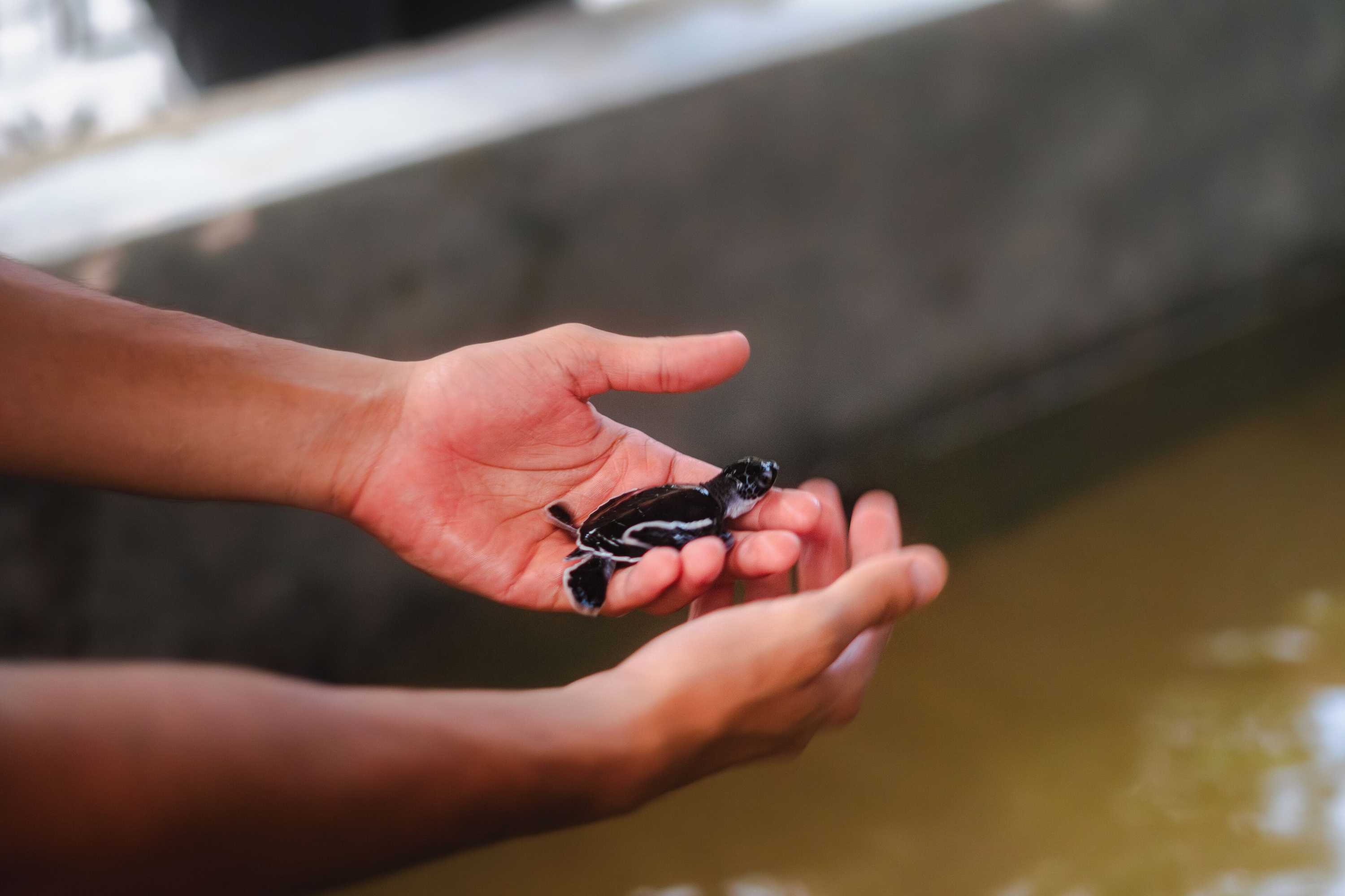 Gift card for Moi Induruwa by Dbi