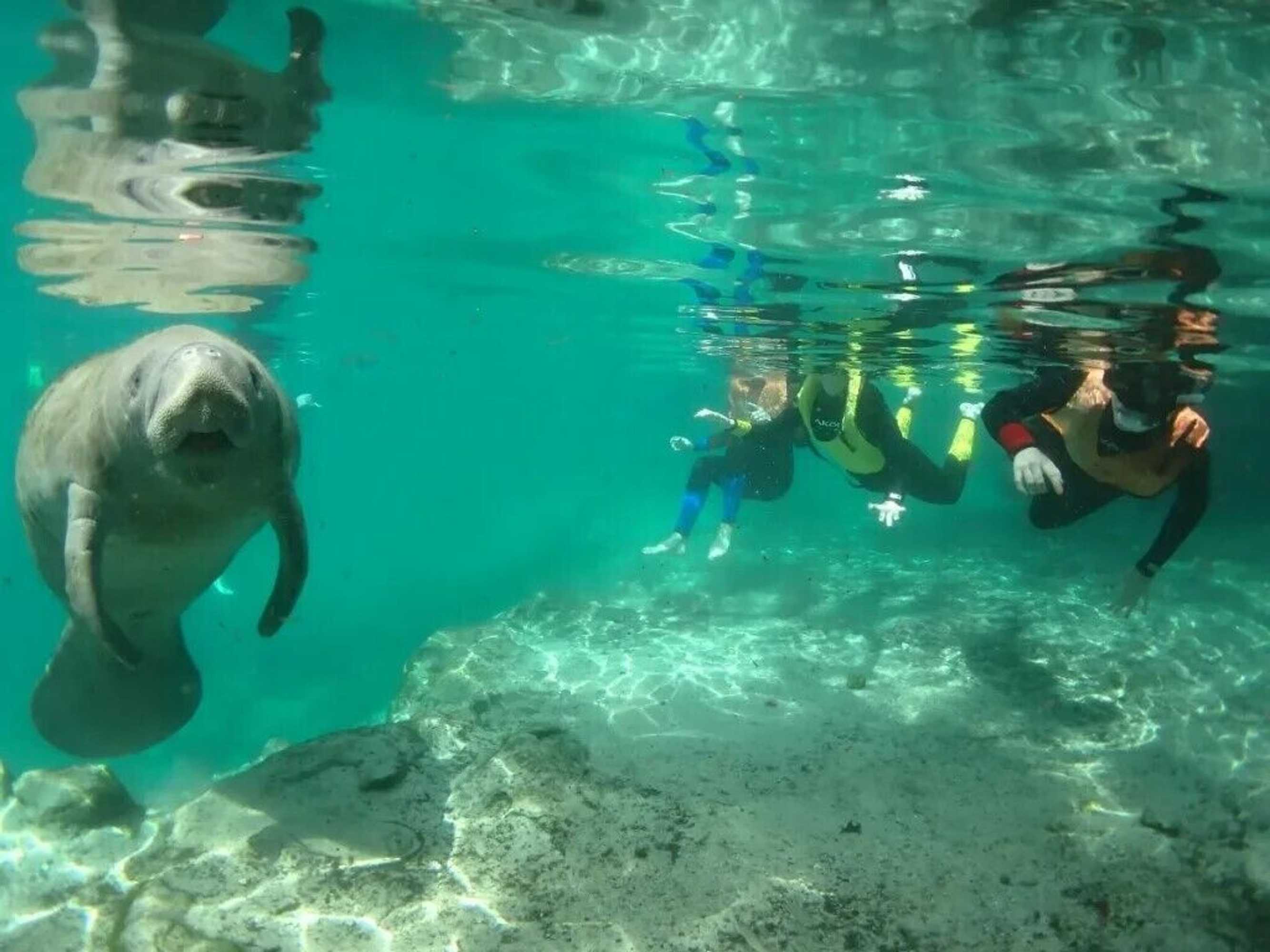 Gift card for Days Inn by Wyndham Crystal River