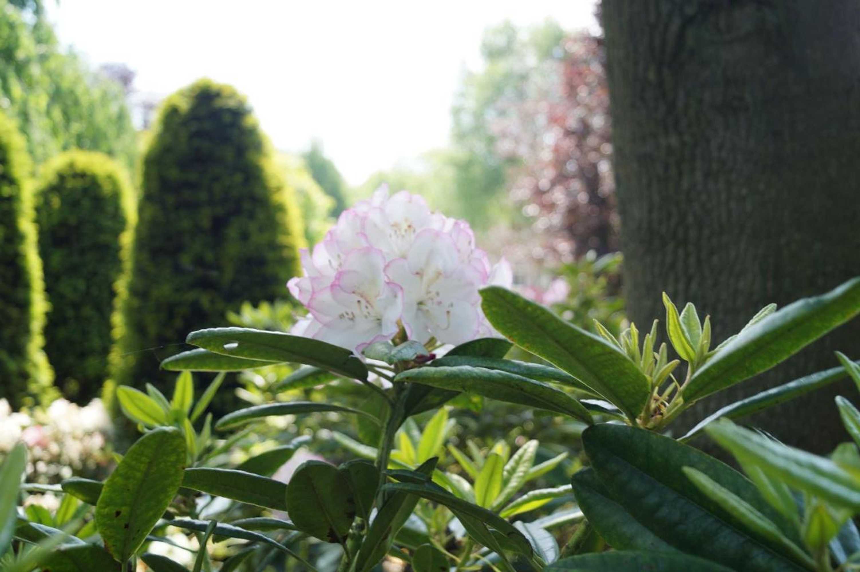 Gift card for Eersel's Groen