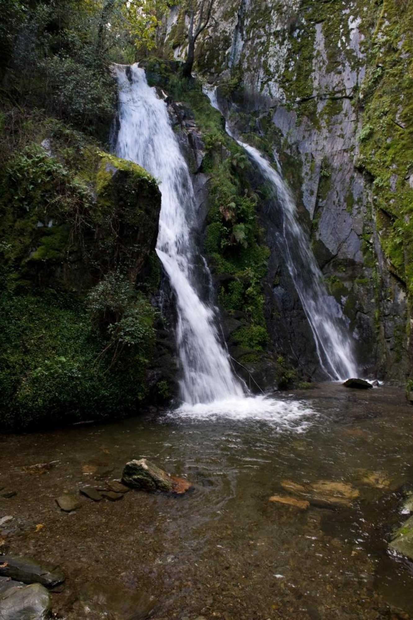 Gift card for Casa do Rosmaninho