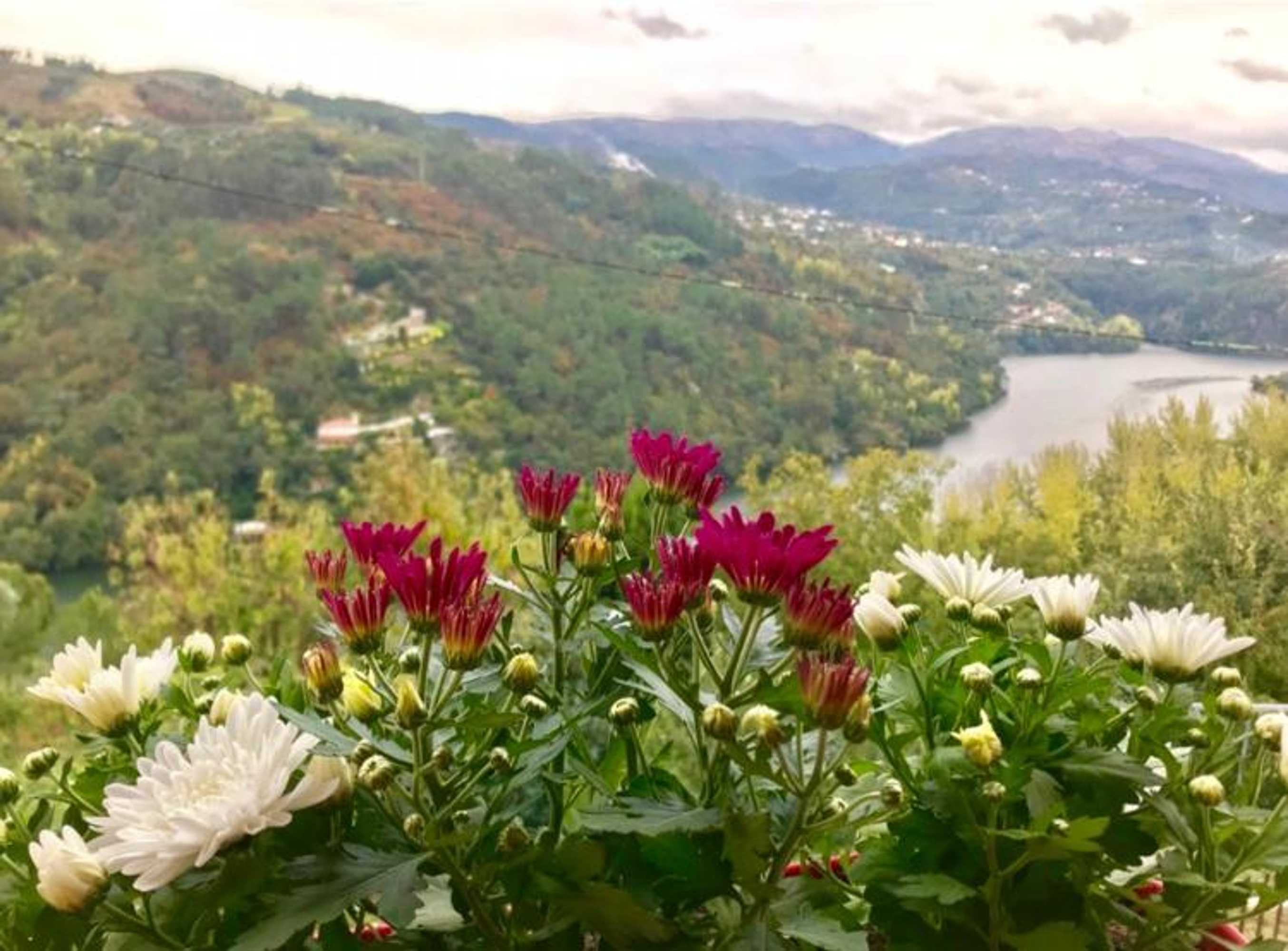 Gift card for Pedacinho de Mundo Douro Gift card for Pedacinho de Mundo Douro