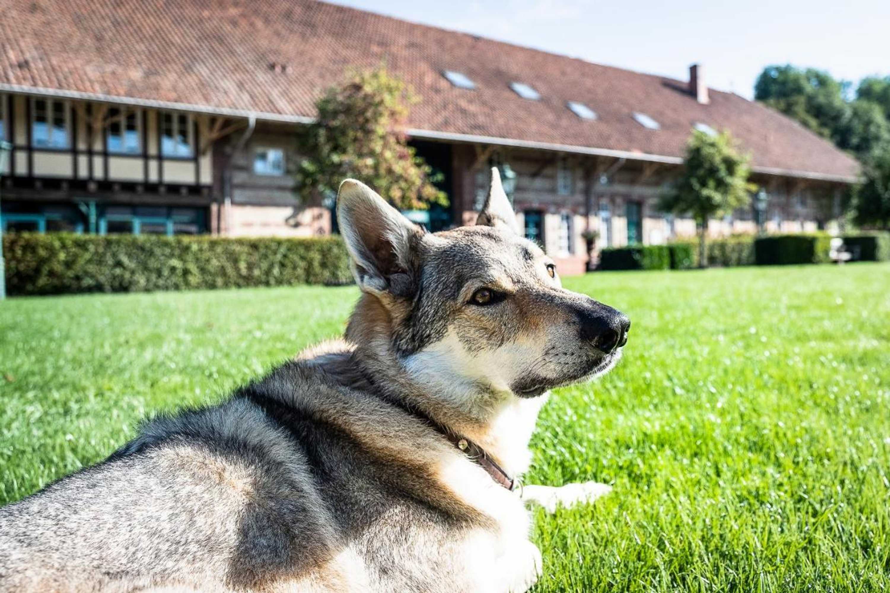 Gift card for Der Linslerhof - Hotel, Restaurant, Events & Natur