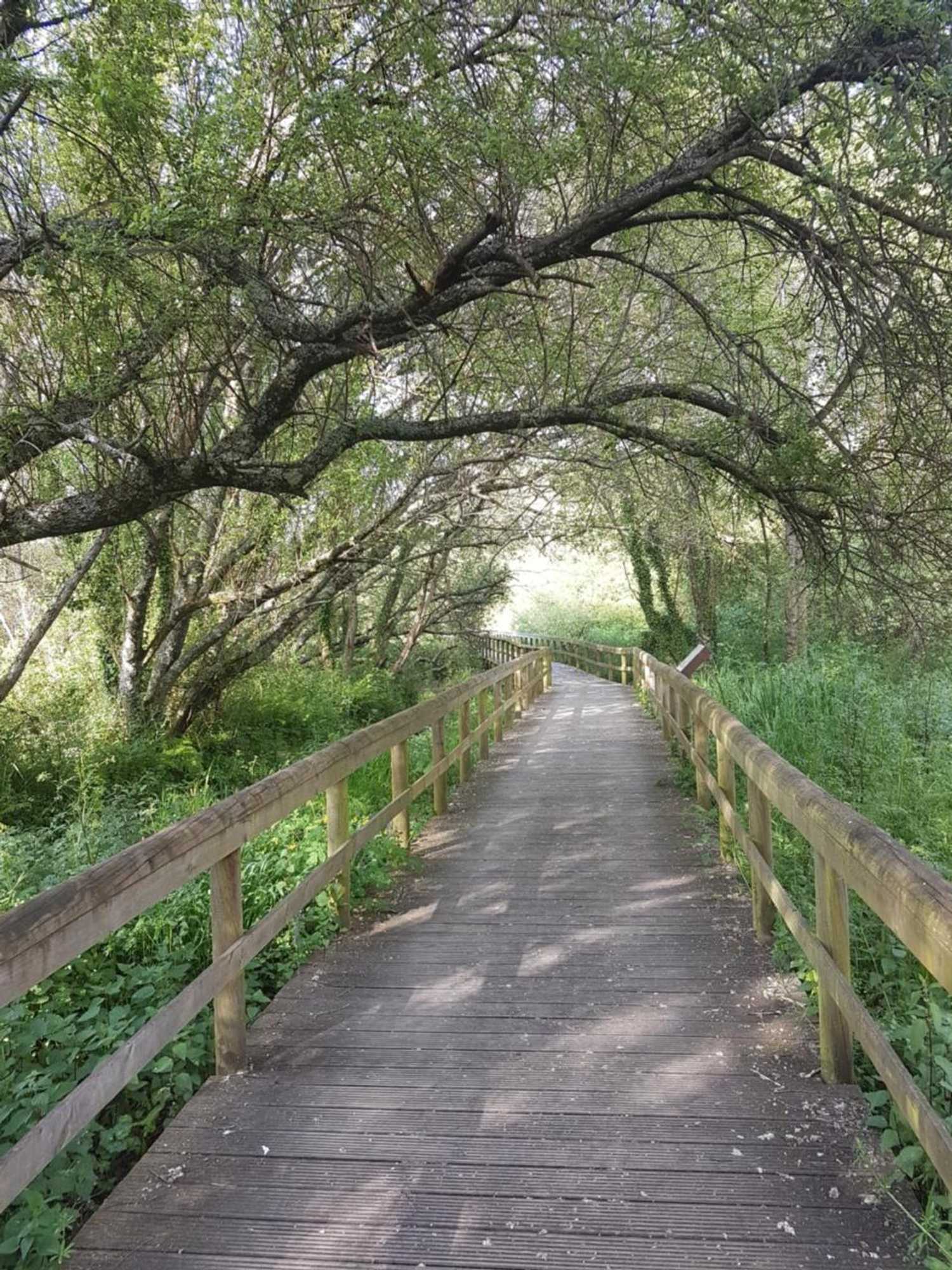 Gift card for Ulfilanis Vila