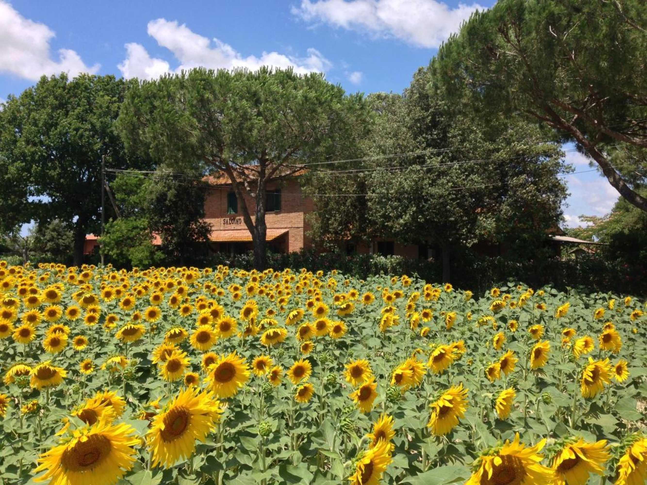 Gift card for Agriturismo Salcino