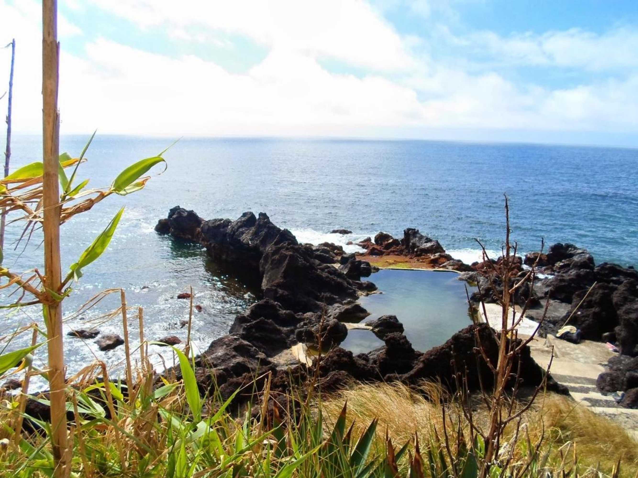 Gift card for Qva - Quinta Velha Das Amoreiras