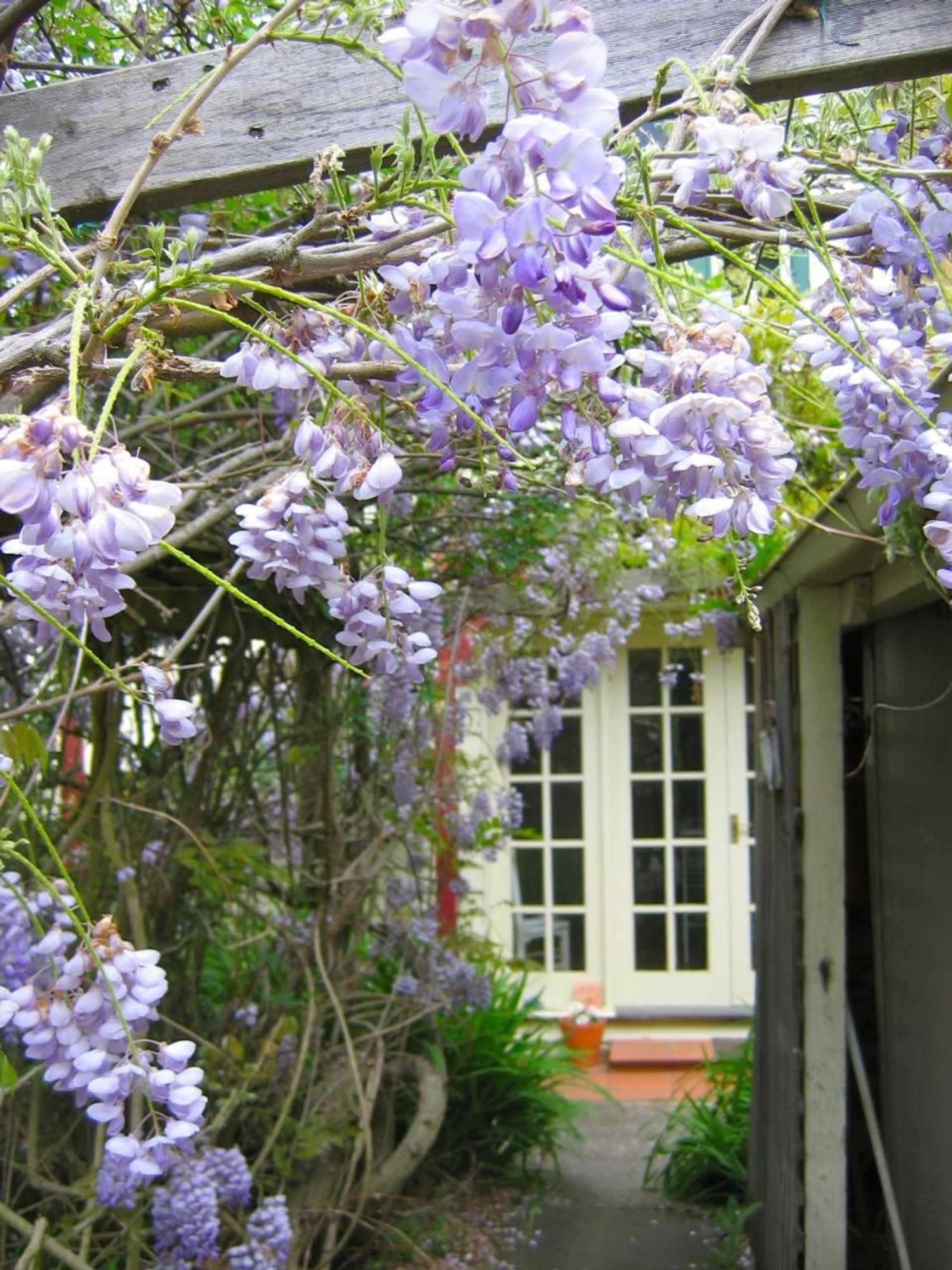 Gift card for Crabtree House