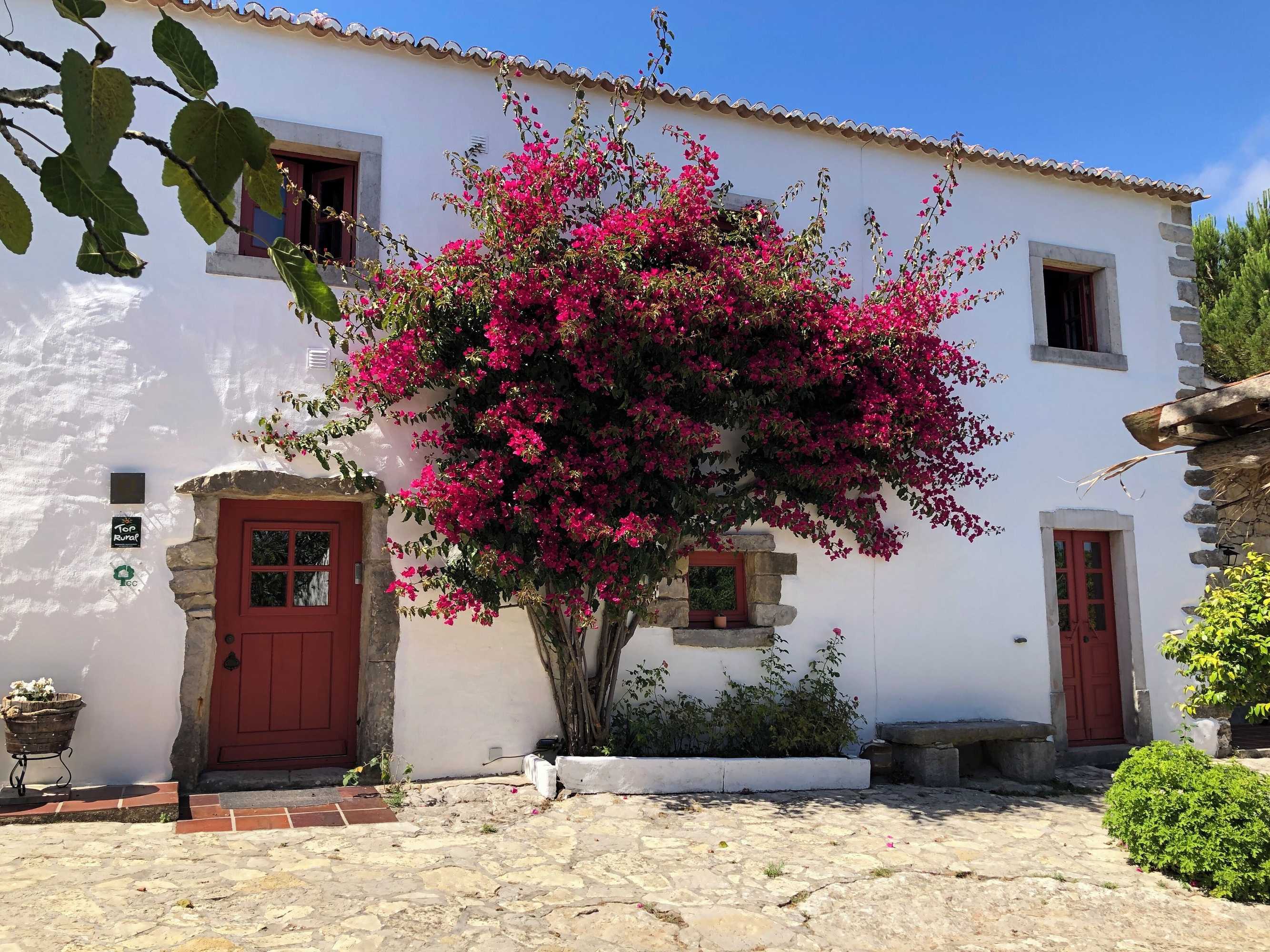 Gift card for Casal da Serrana