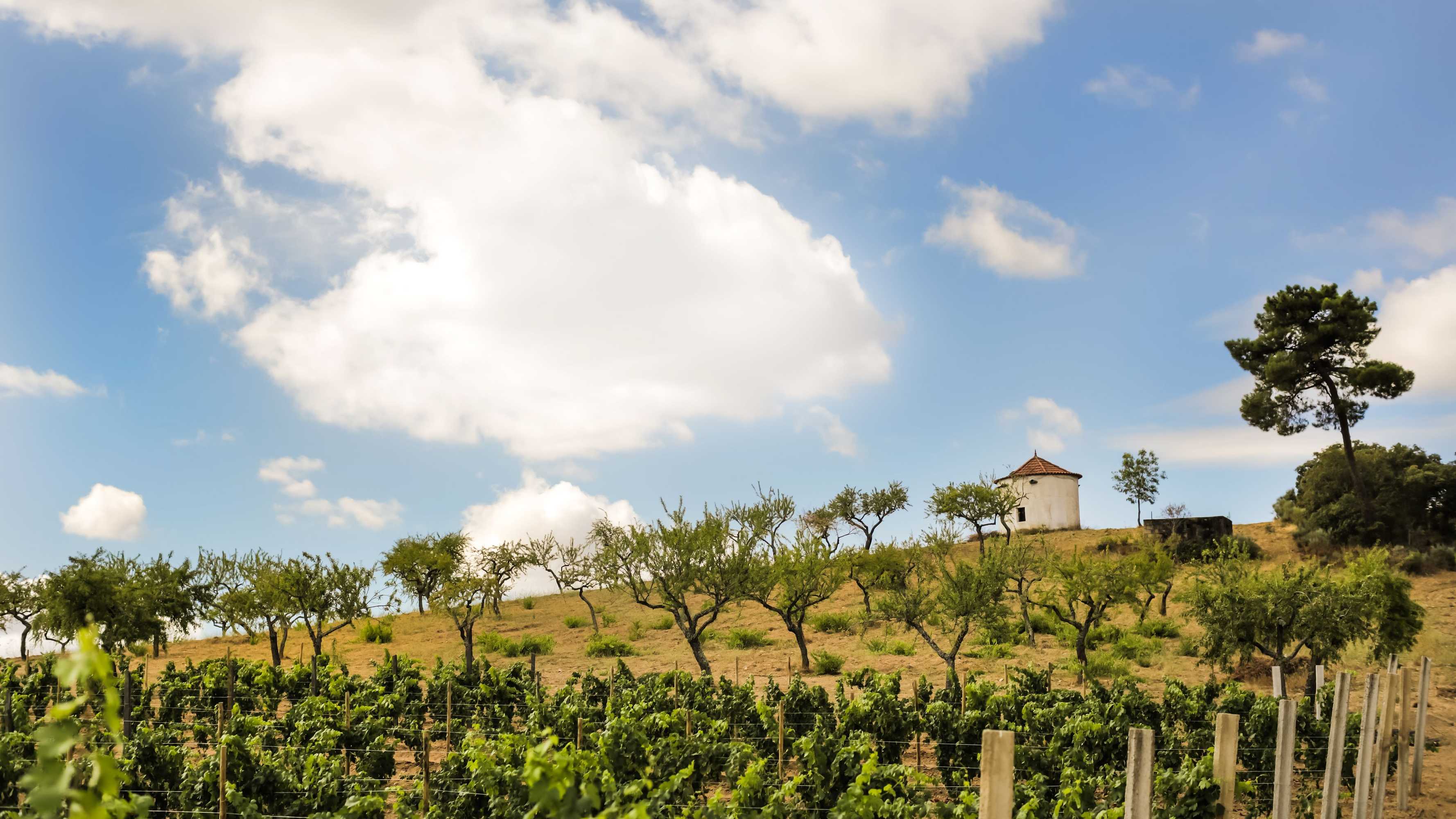 Gift card for Casa de Monsanto I Lamego