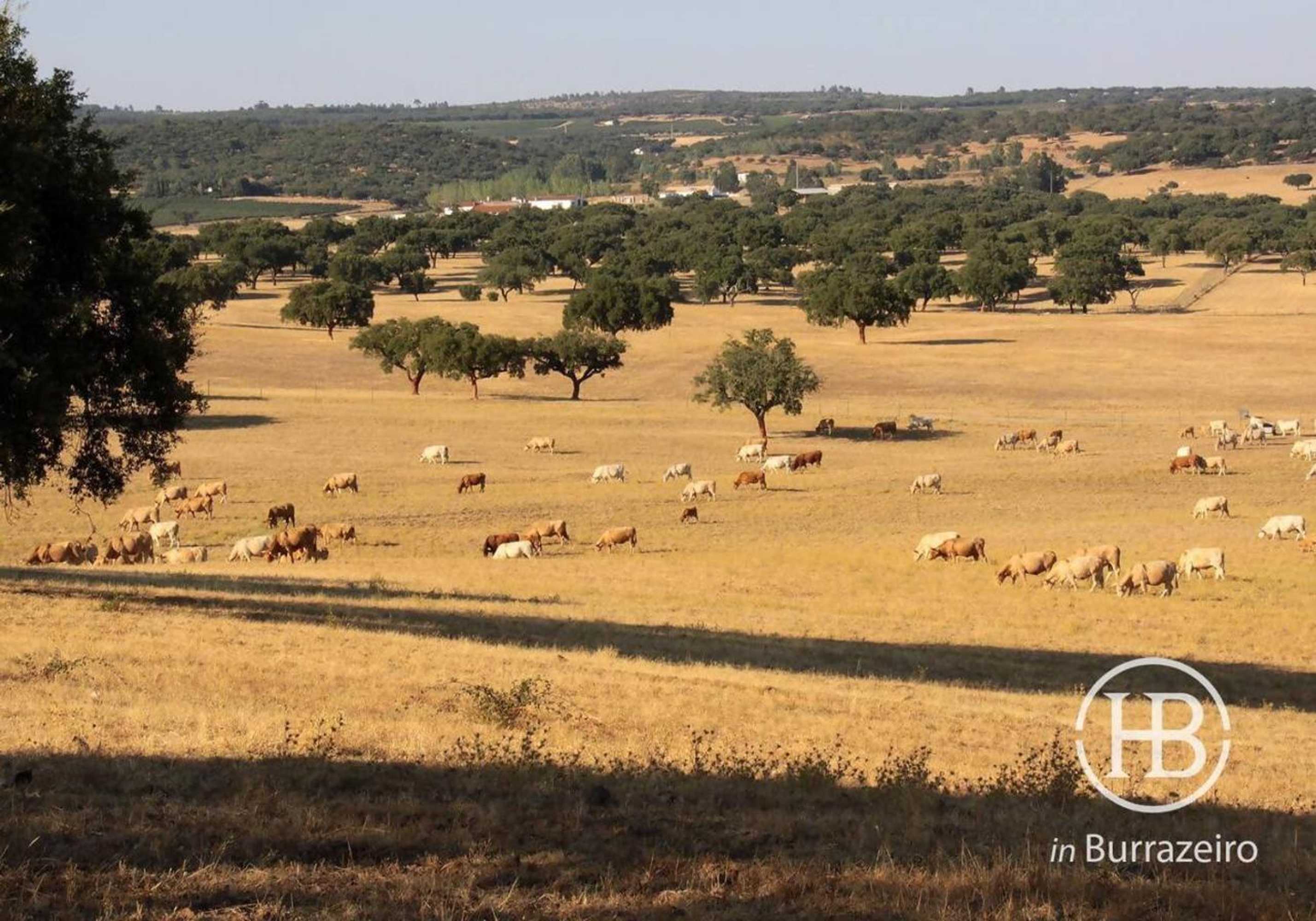 Gift card for Herdade do Burrazeiro Turismo Rural no Alentejo