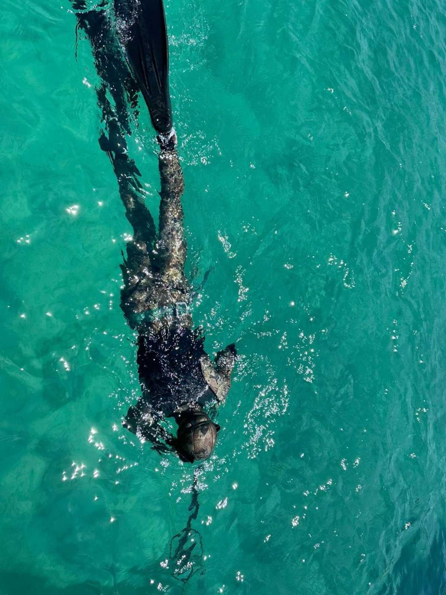 Gift card for Apartments & Villa Tisno