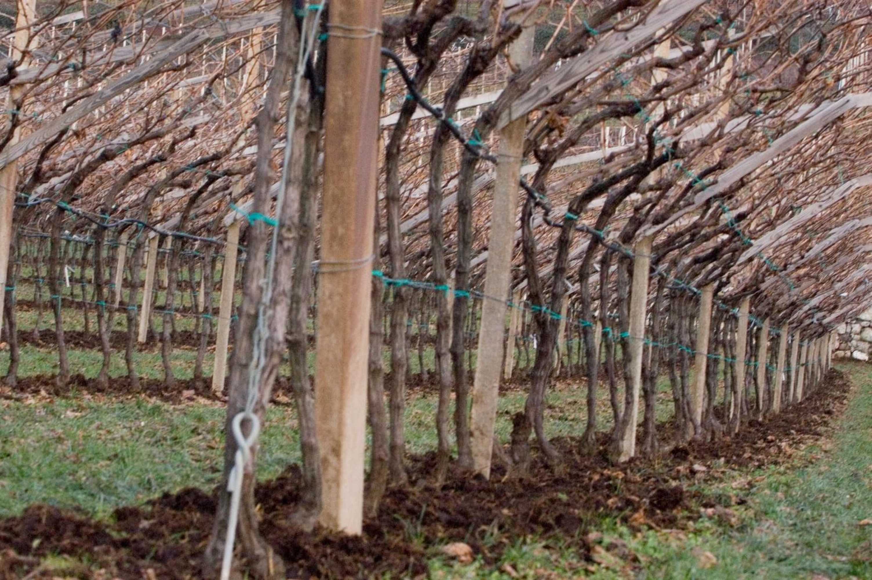 Gift card for Locanda Del Bel Sorriso - Villa Bertagnolli Guest House