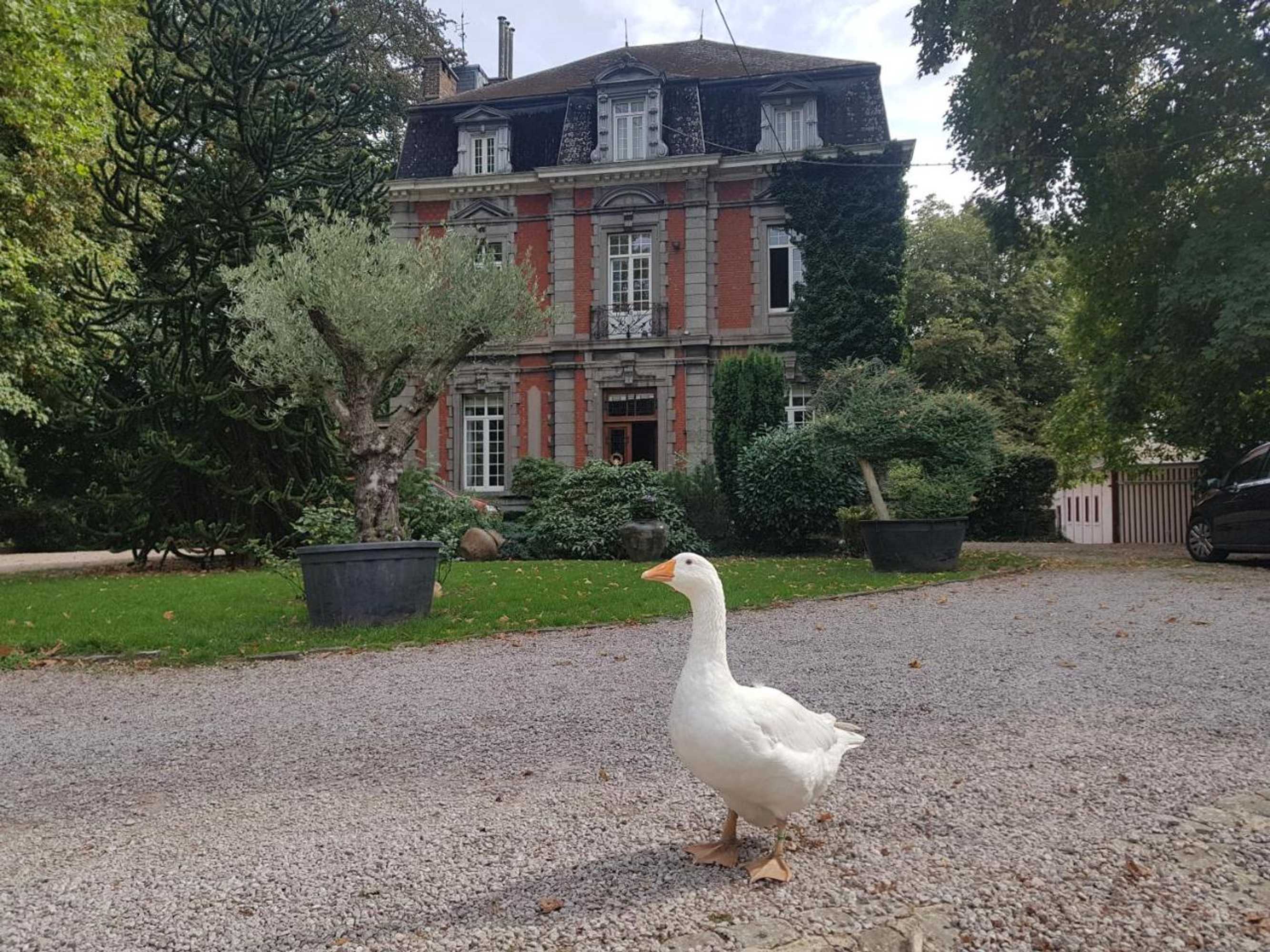 Gift card for Château Lambert Moulinsart Hotel, Shuttle Airport, Long Term Parking, Snooker, Large Terrasse, Dinner, Breakfast Gift card for Château Lambert Moulinsart Hotel, Shuttle Airport, Long Term Parking, Snooker, Large Terrasse, Dinner, Breakfast