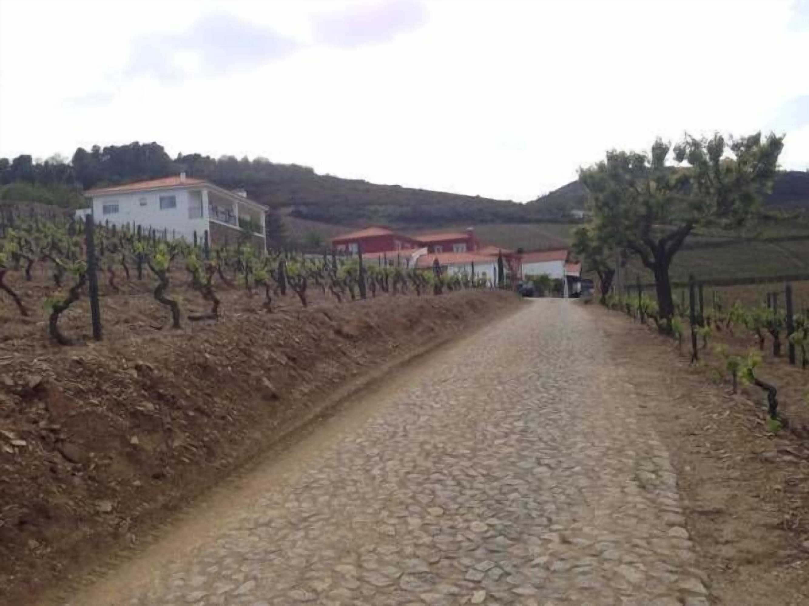 Gift card for Quinta Dos Espinheiros