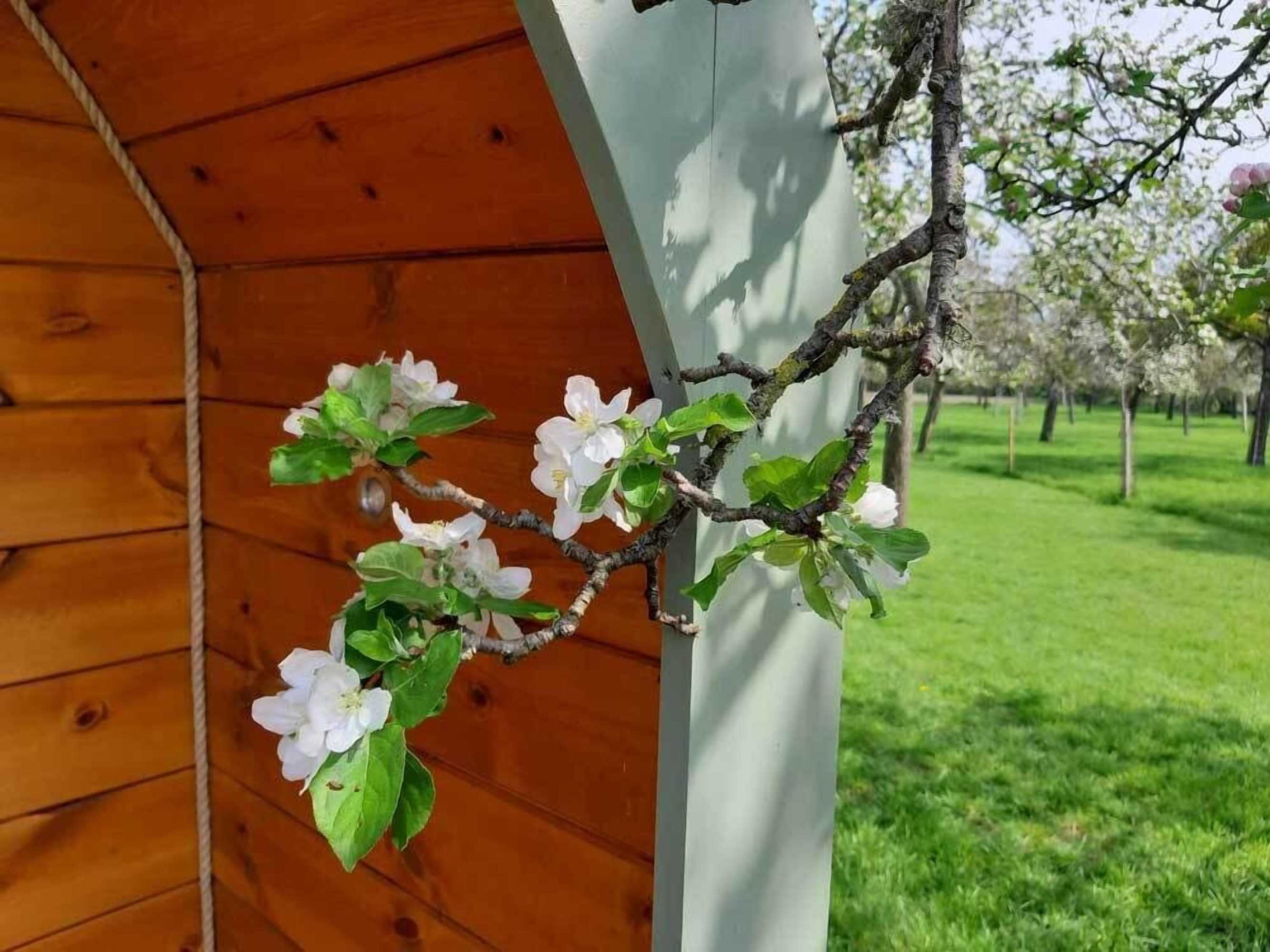 Gift card for Orchard Farm Luxury Glamping