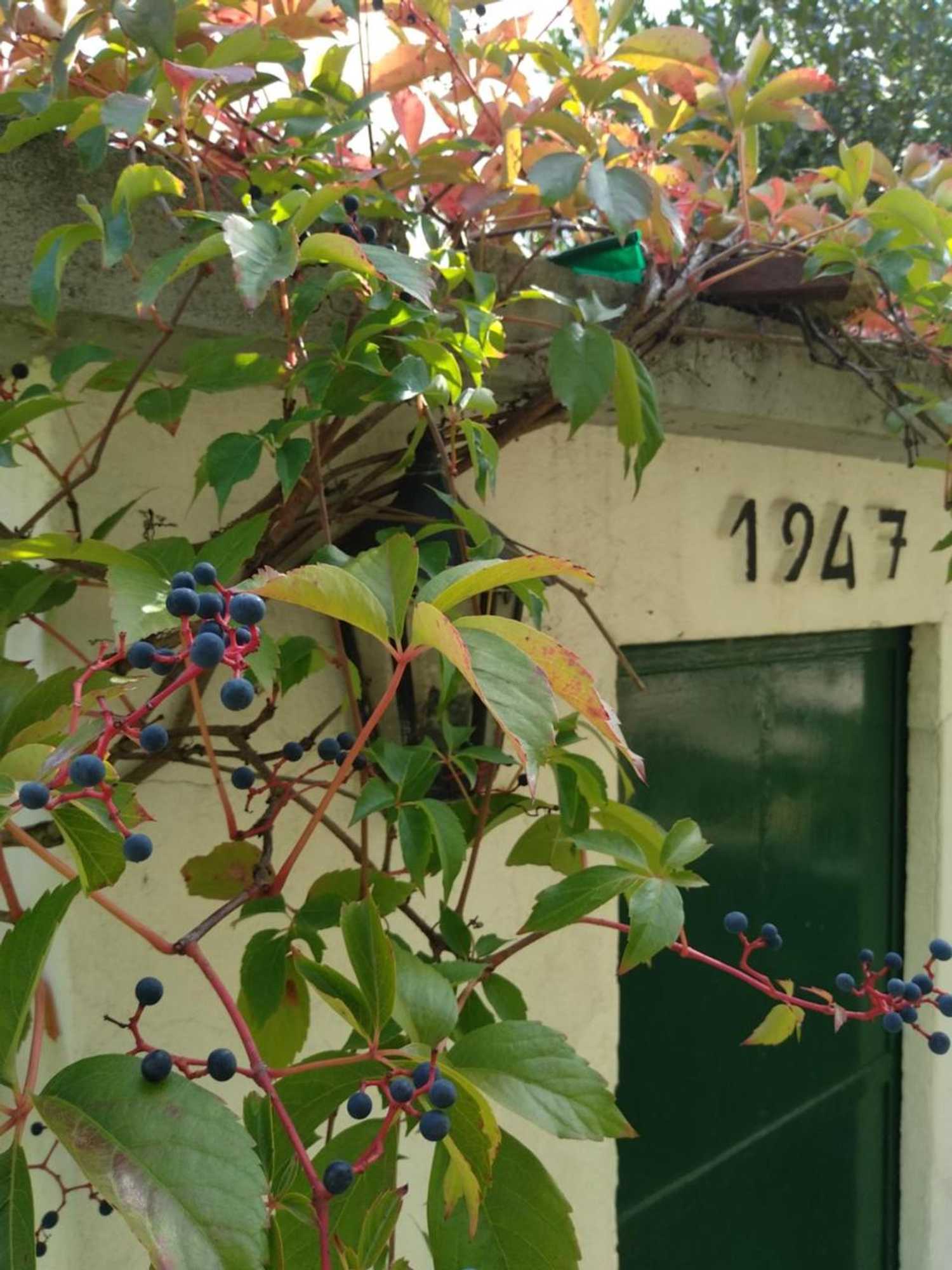 Gift card for Casas Do Zagao